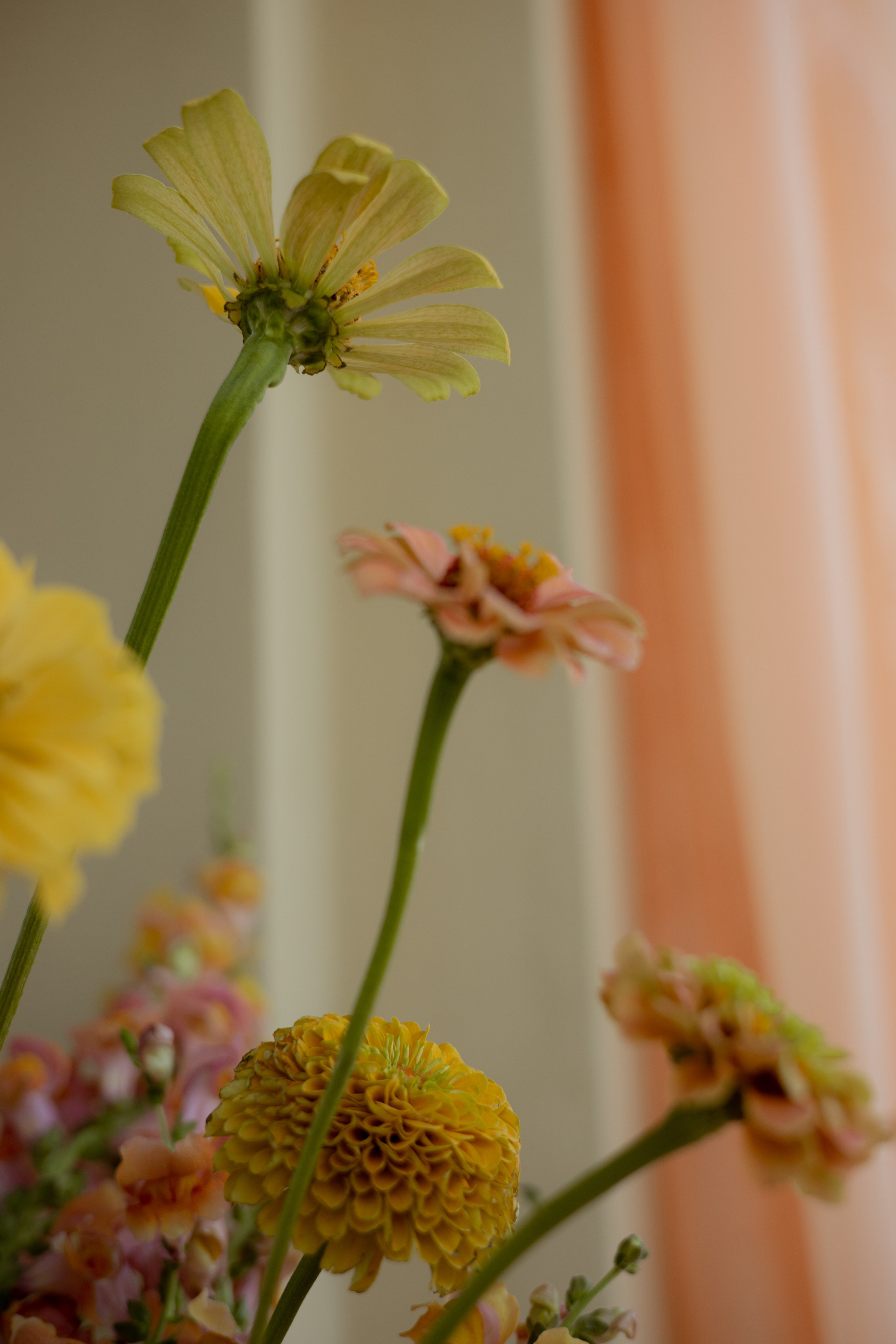 ДР Дианы. Пекин. Оформление свадеб, декор свадеб Вера Маркова, Москва