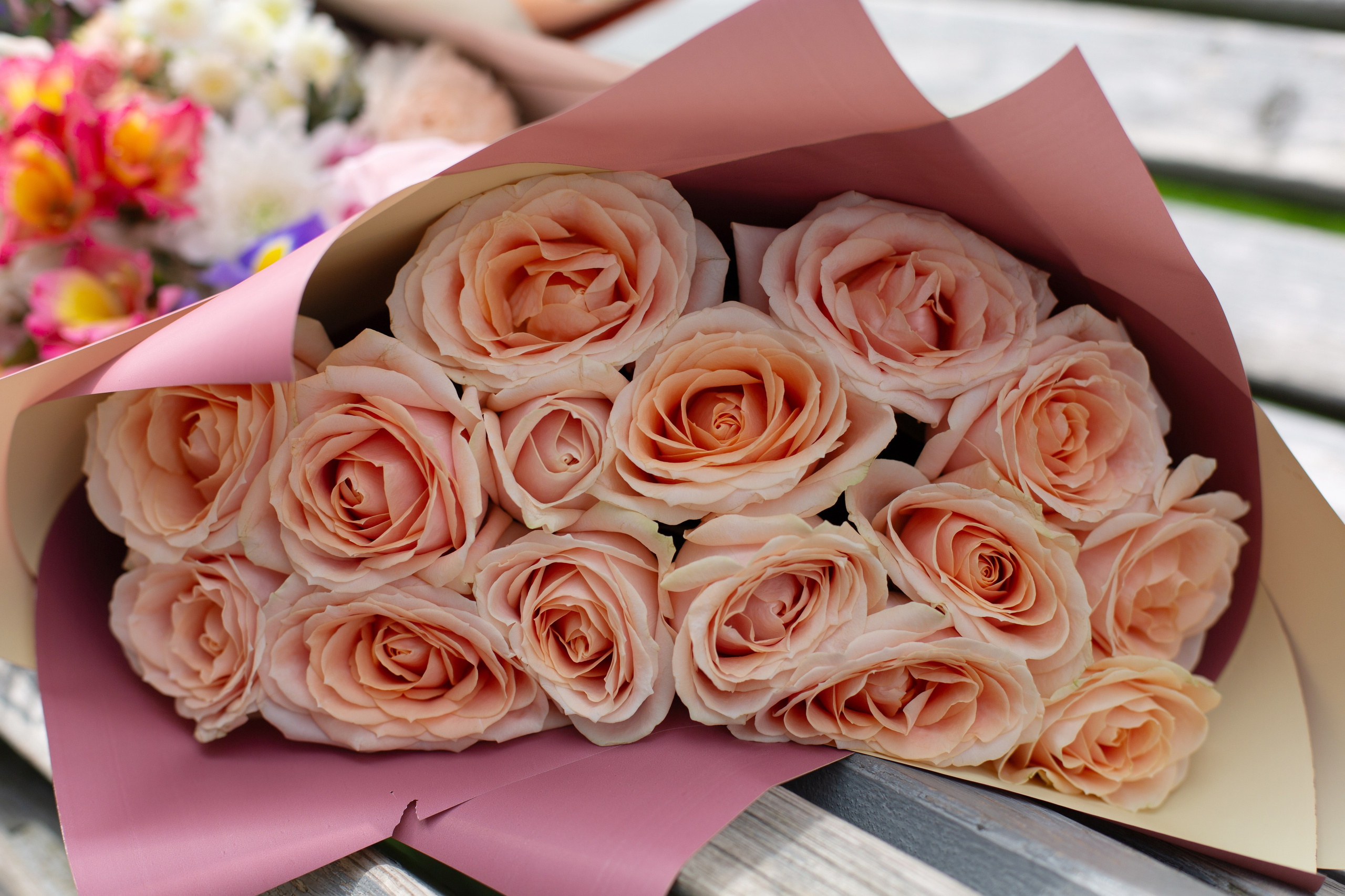 Выписка из роддома. Татьяна Нагорнова — семейный фотограф в Санкт-Петербурге