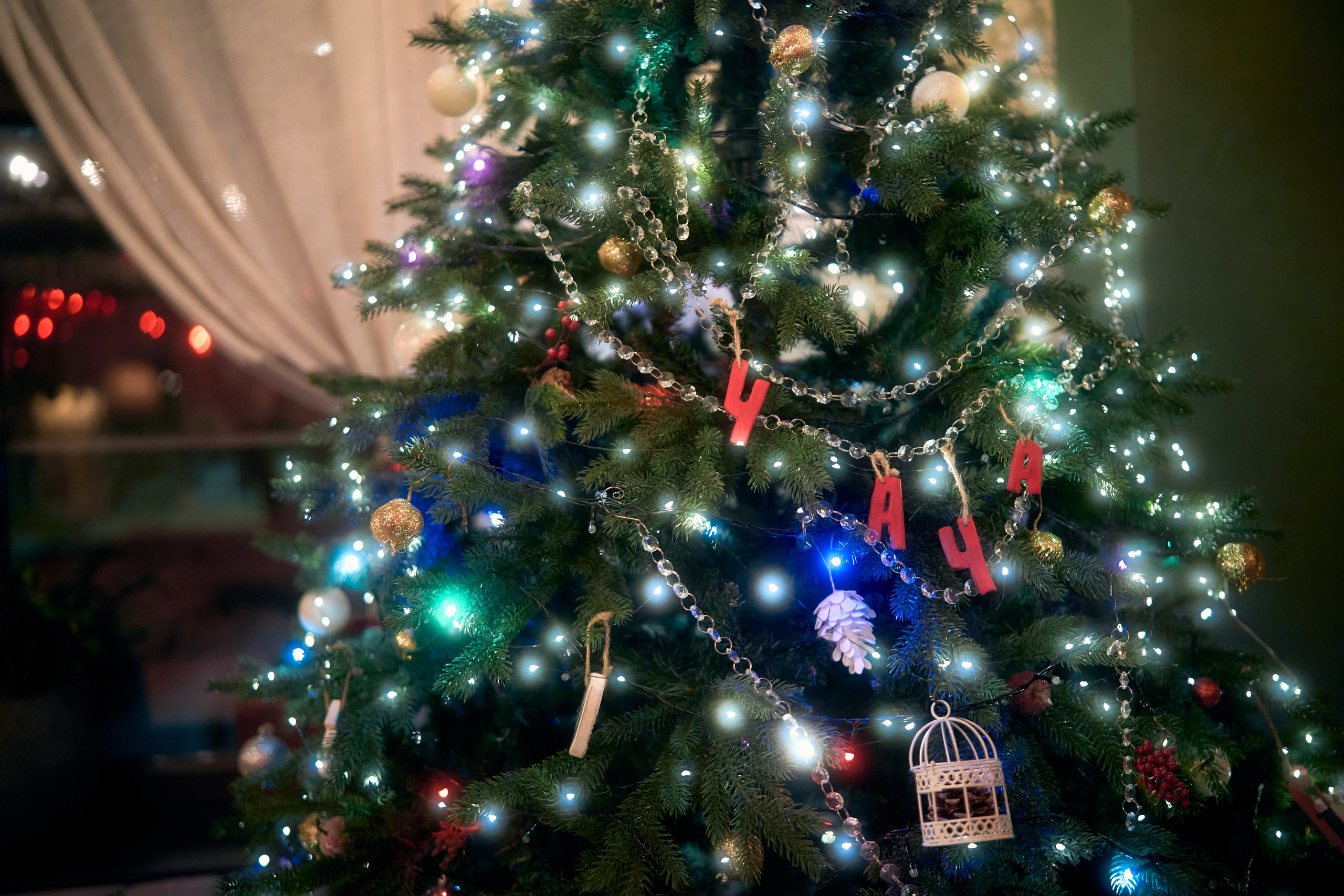 Рестораны «Остерия» и «Ча-Ча». Портретный фотограф в Калуге Арсений Борода