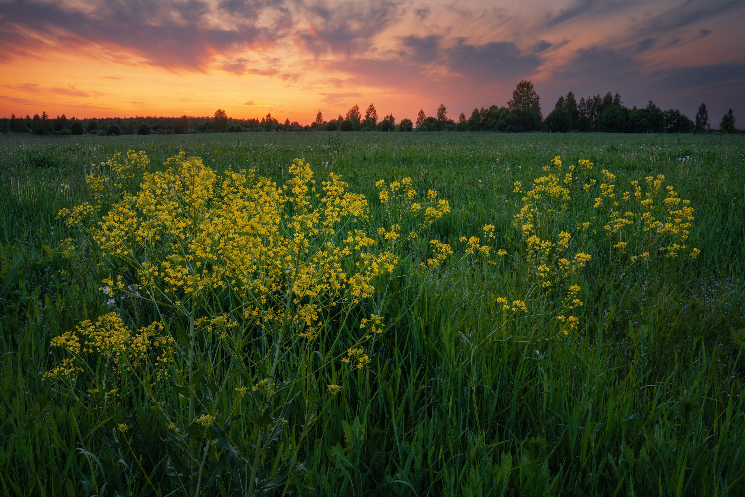 Золотое кольцо. Фотограф в Красноярске Нерозя Александр. Пейзаж, природа, портрет