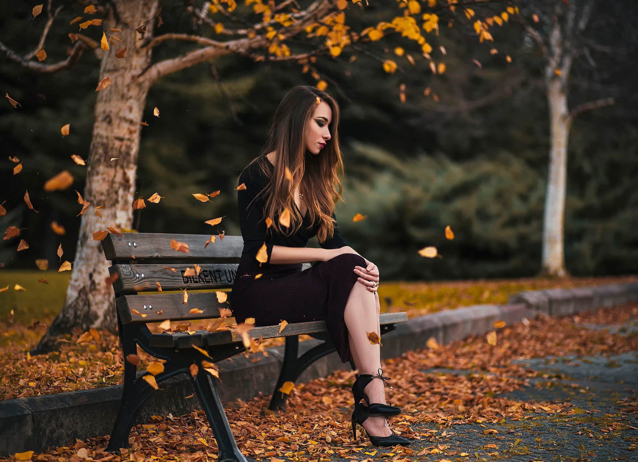 ПАРК, УЛИЦА