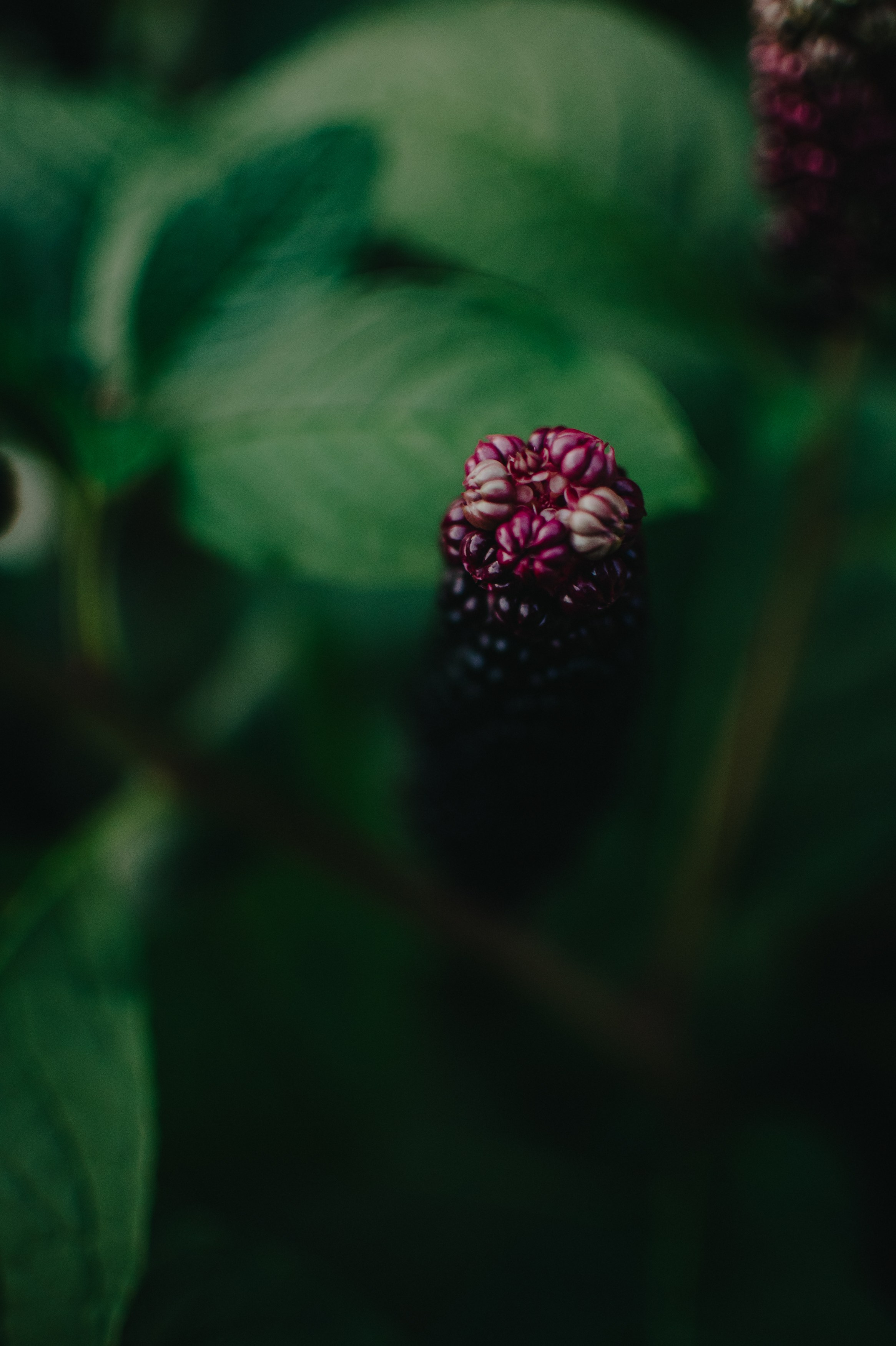 Контент фотограф Илья Урс