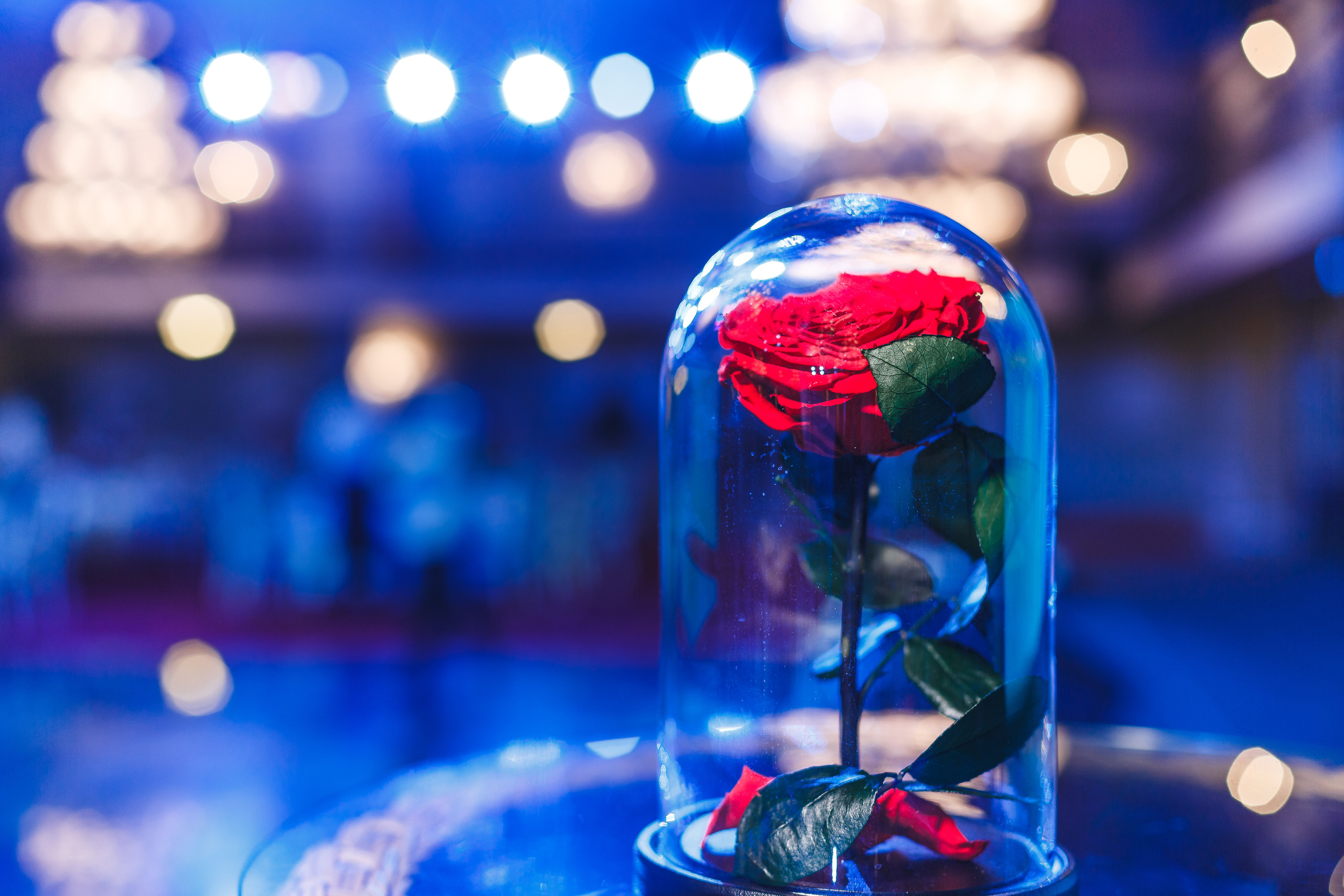 Новогодний корпоратив казань