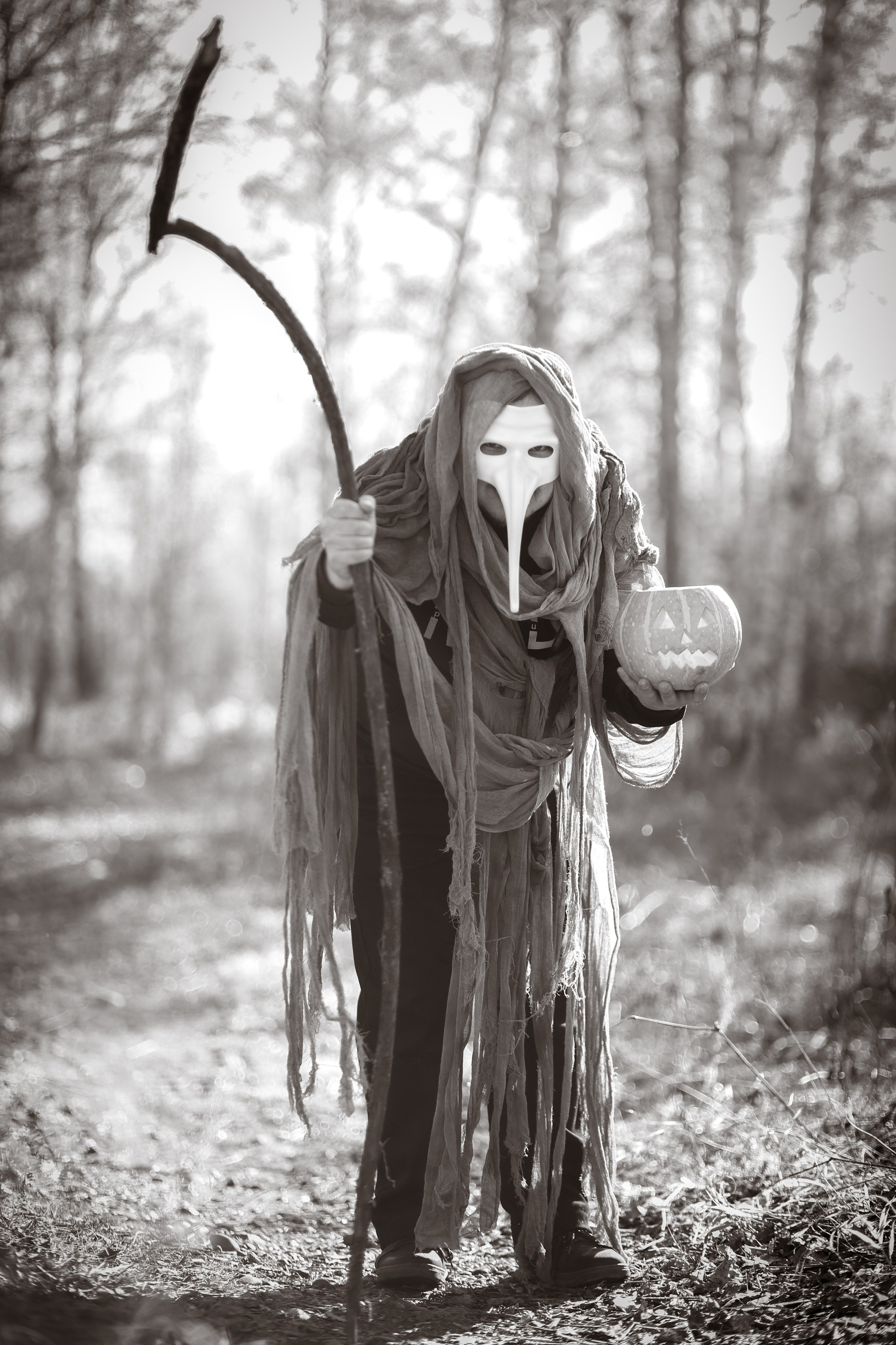 В ожидании Halloween. Art my Pho