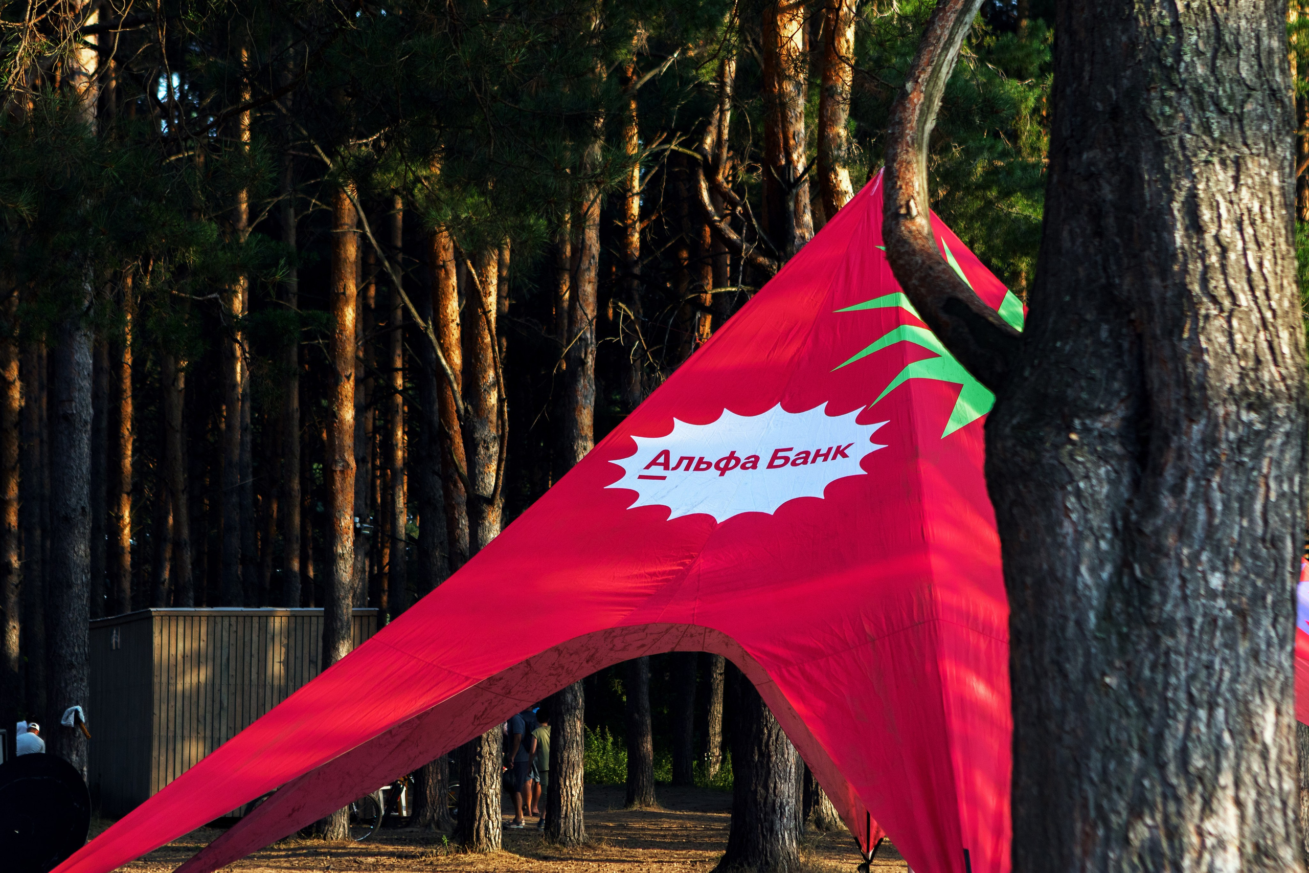 Просто фест. Design Muginov