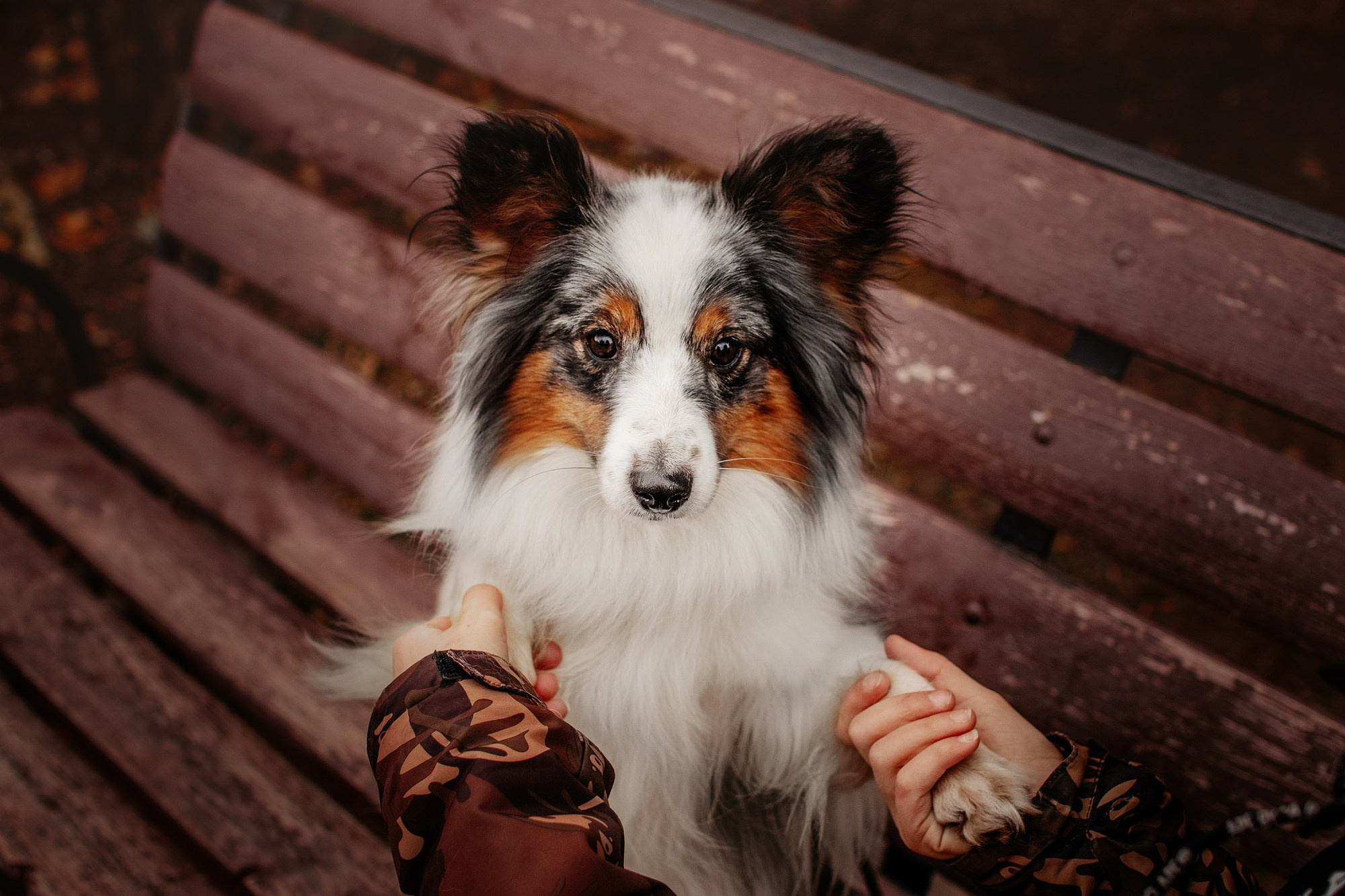 Марина и Кутька. Фотограф Наталья Потапова