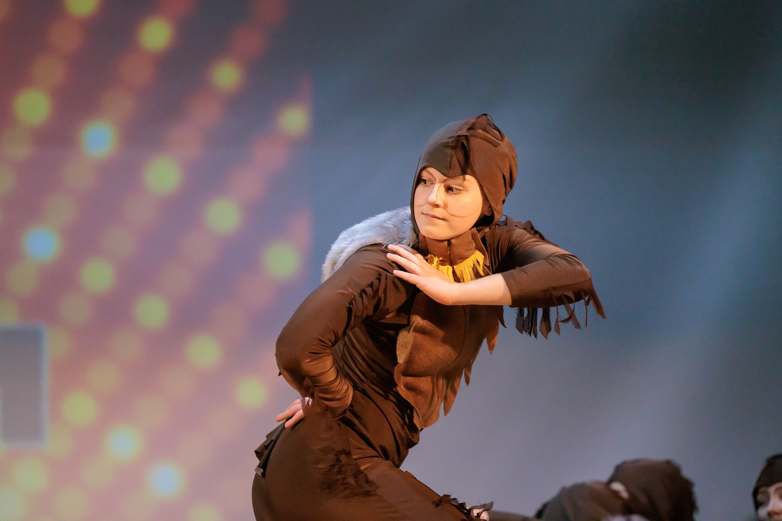 ARТист Сибири 2023. Ваши Истории. Фотограф/видеограф. Абакан