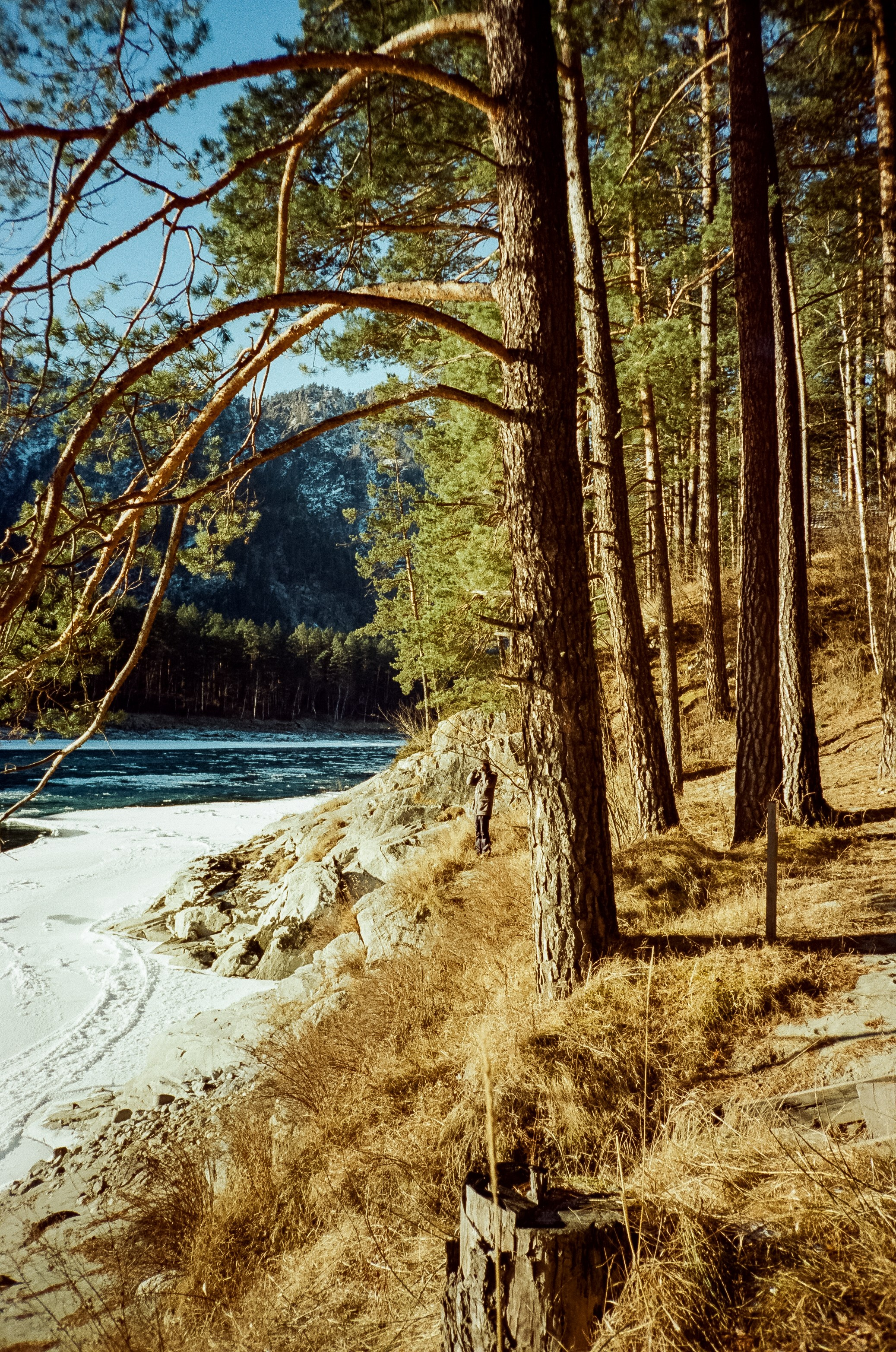 Подвесной мост Царская охота и база Белые скалы. Ледяная Катунь на сол. Фотограф-документалист Мария Осокина