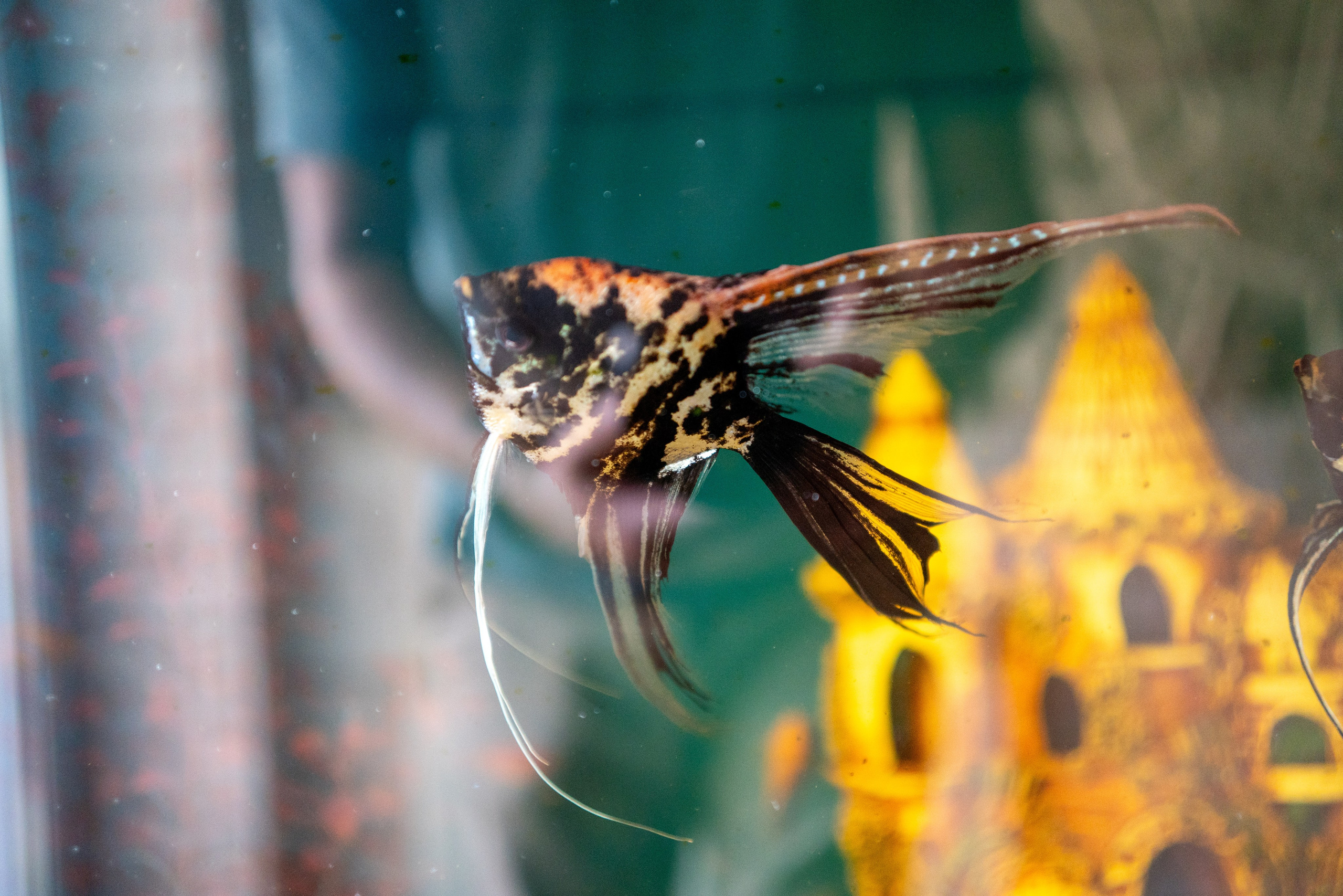 Съемка для патронажной службы. Фотограф и маркетолог Андрей Юрилин Саратов и Энгельс