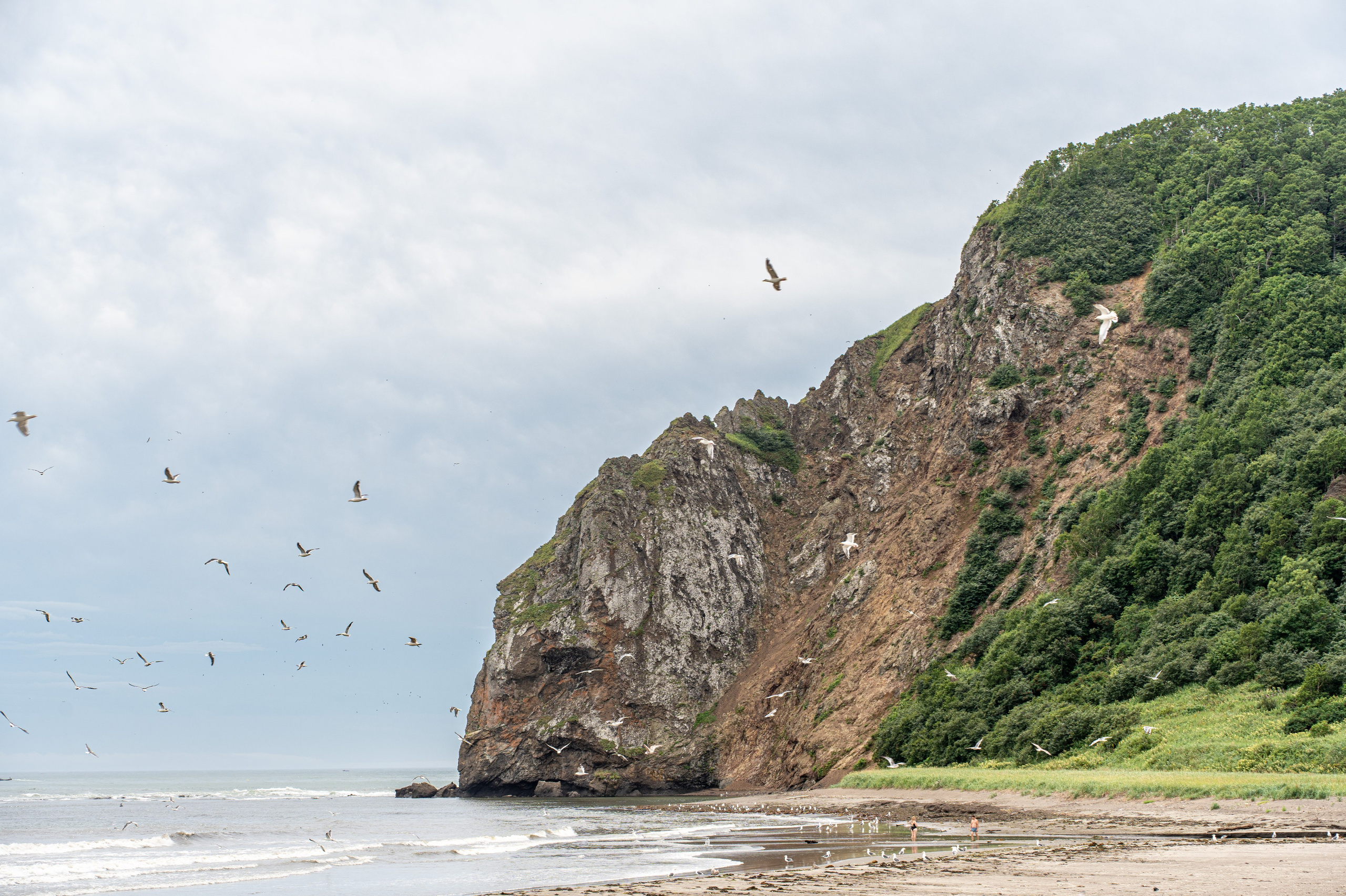 Сахалин 2025. Творческие сьемки