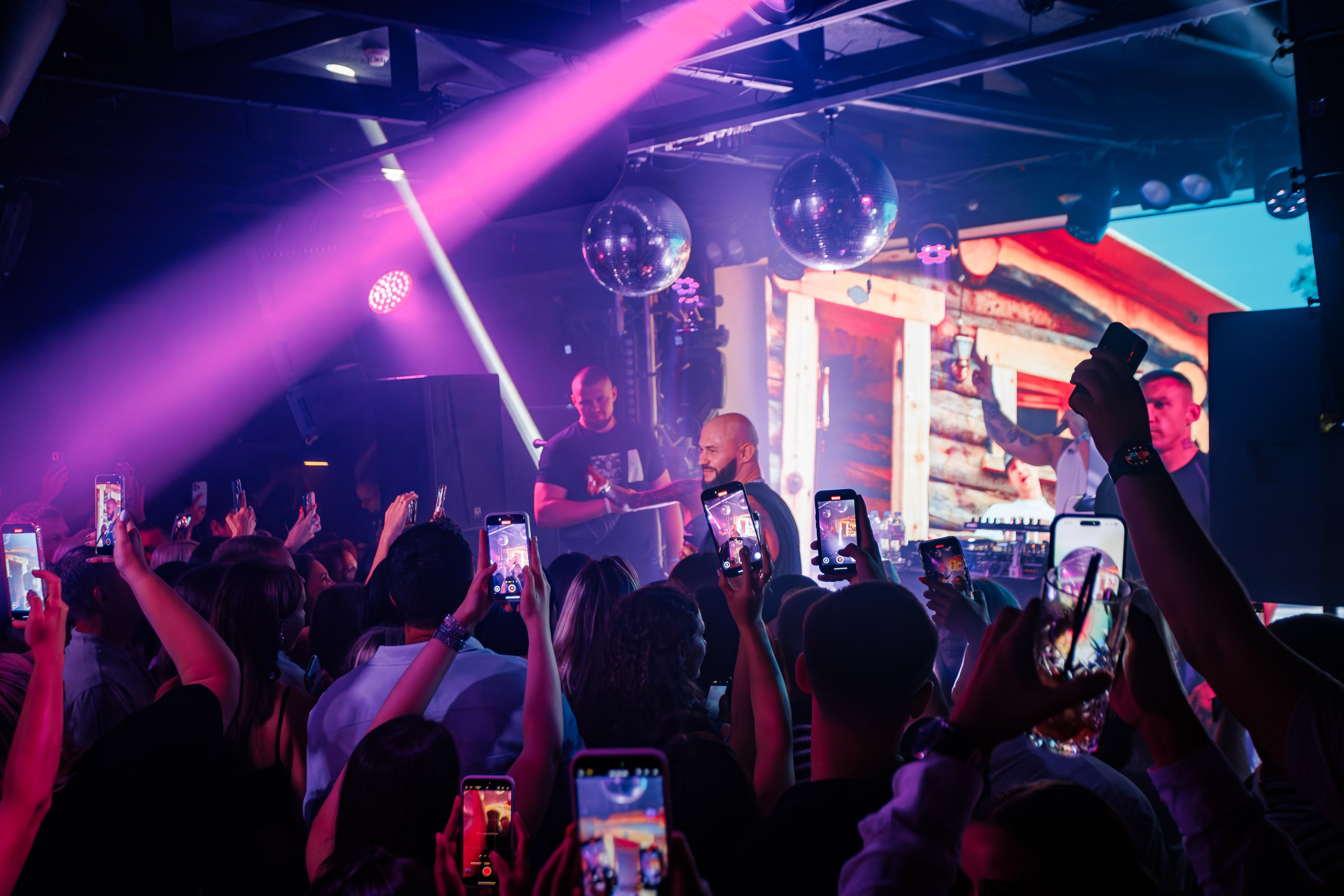 «Джиган"_Чайка на пляже_Ялта_12.07.2025 г. Аминов Руслан | Фотограф