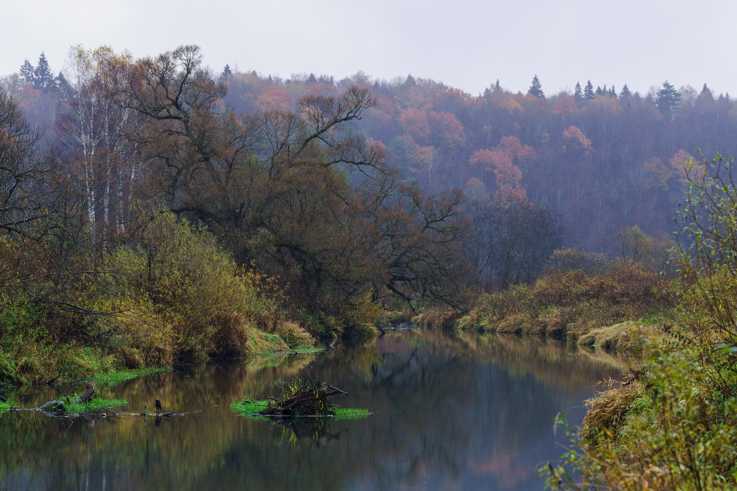 Фотографии Трейл Кутузов 2025. Фотограф спортивные события, недвижимость, турбизнес
