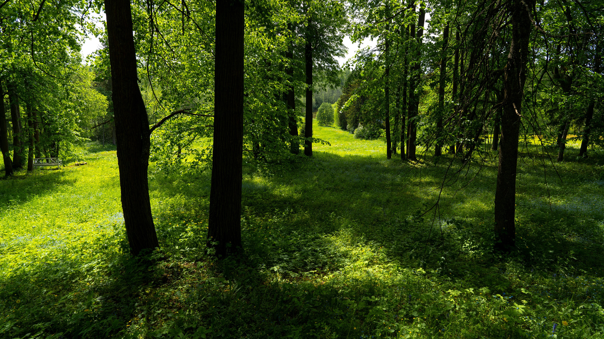 Плёс. ПОБУДЬ ЗДЕСЬ И ЦЕЛЕЕ БУДЕТ ЭТОТ МИР