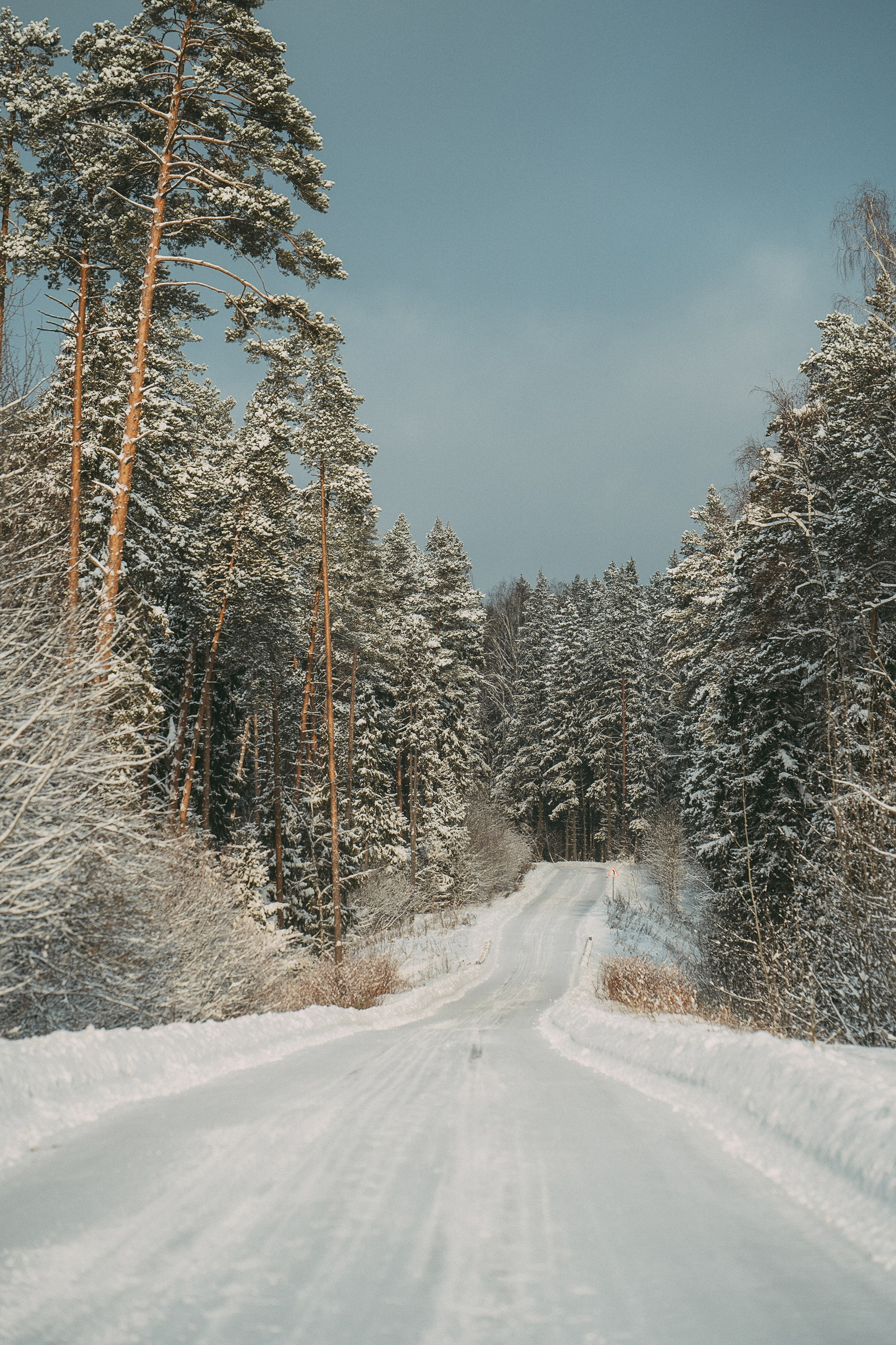 Лена и Фанни. Фотограф анималист в Москве и Санкт-Петербурге Свиридова Анна