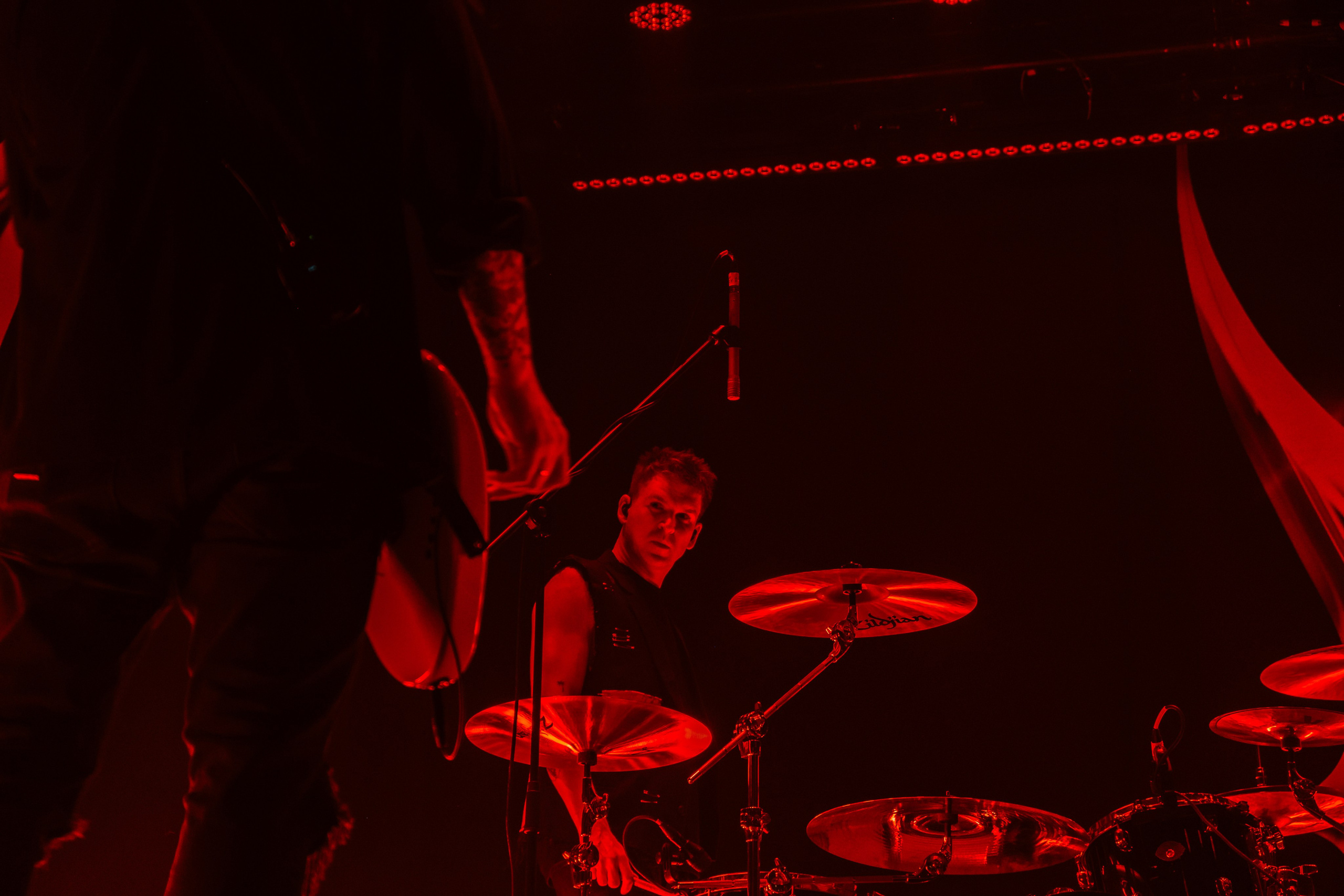 Wildways, Sound, 16.11.24. Репортажный фотограф, Санкт-Петербург