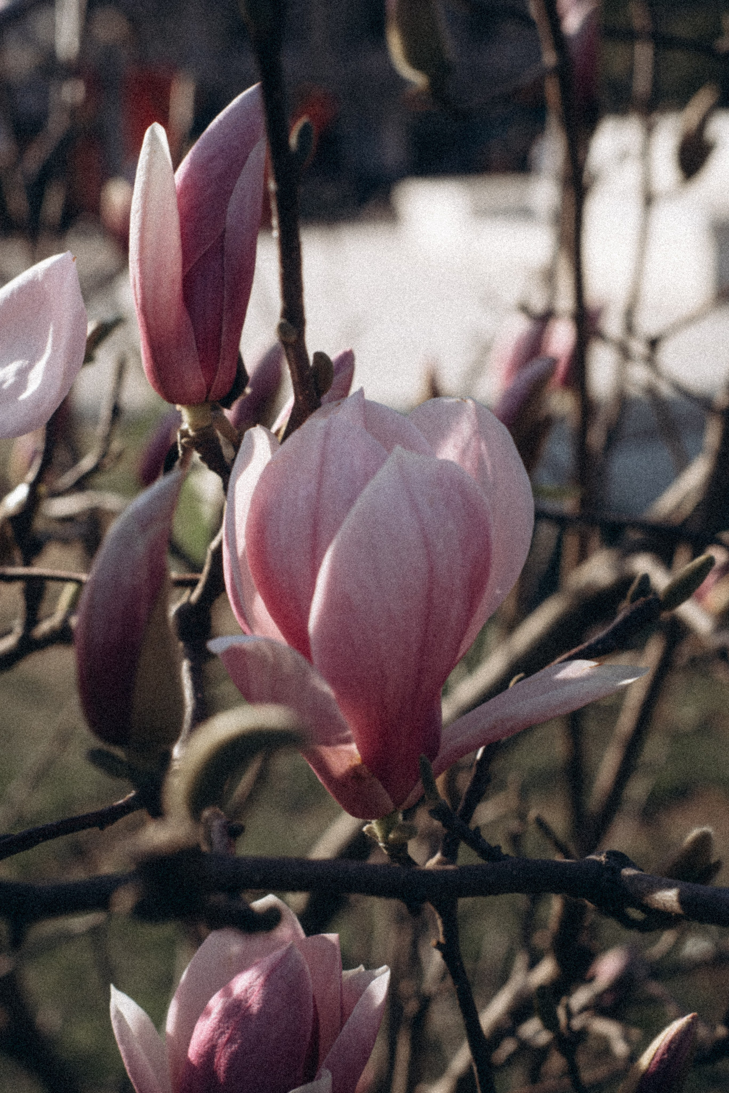 Батуми, Грузия🇬🇪. Anita_photo