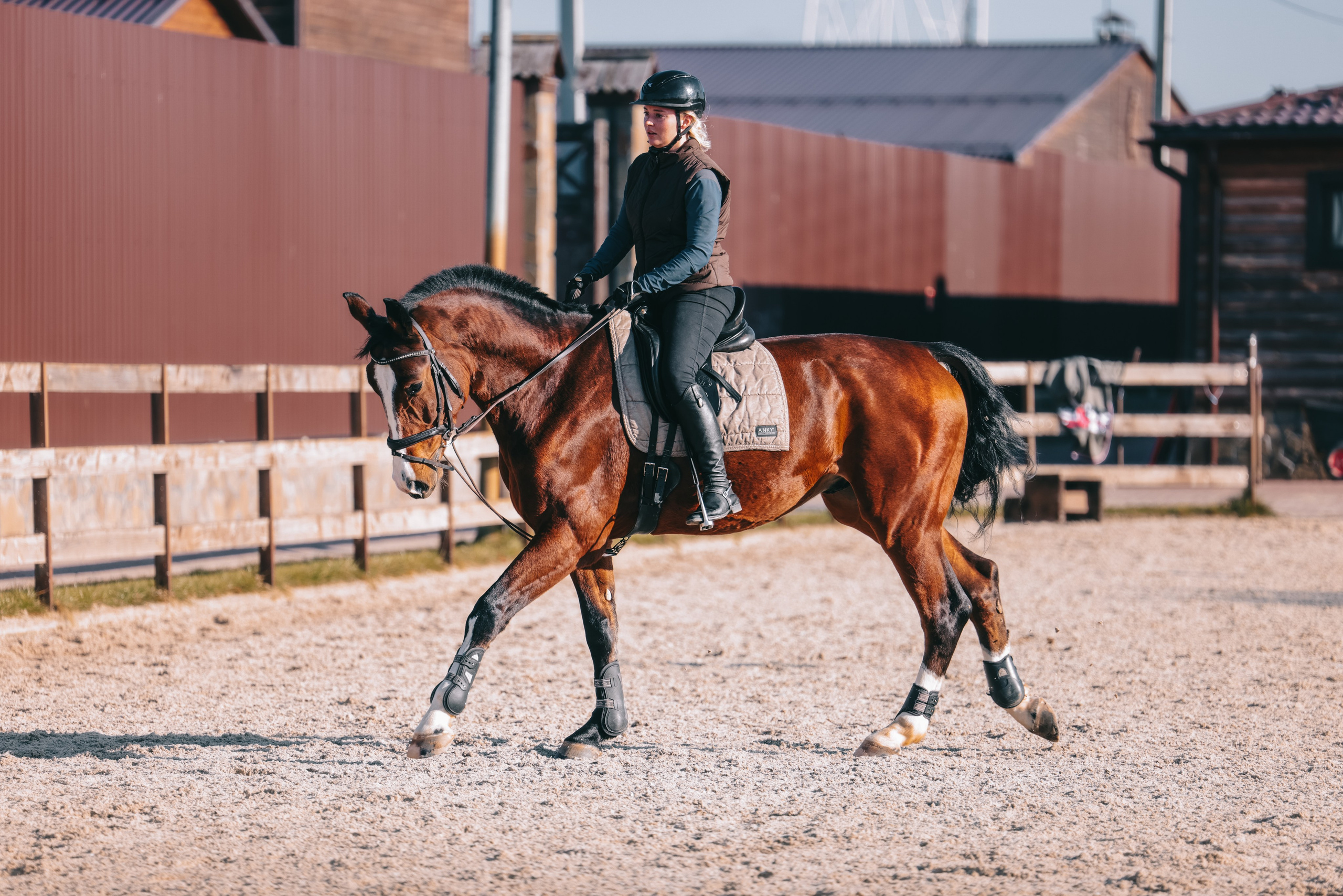 КСК Ждановское фотосессия. Фотосессии с лошадьми