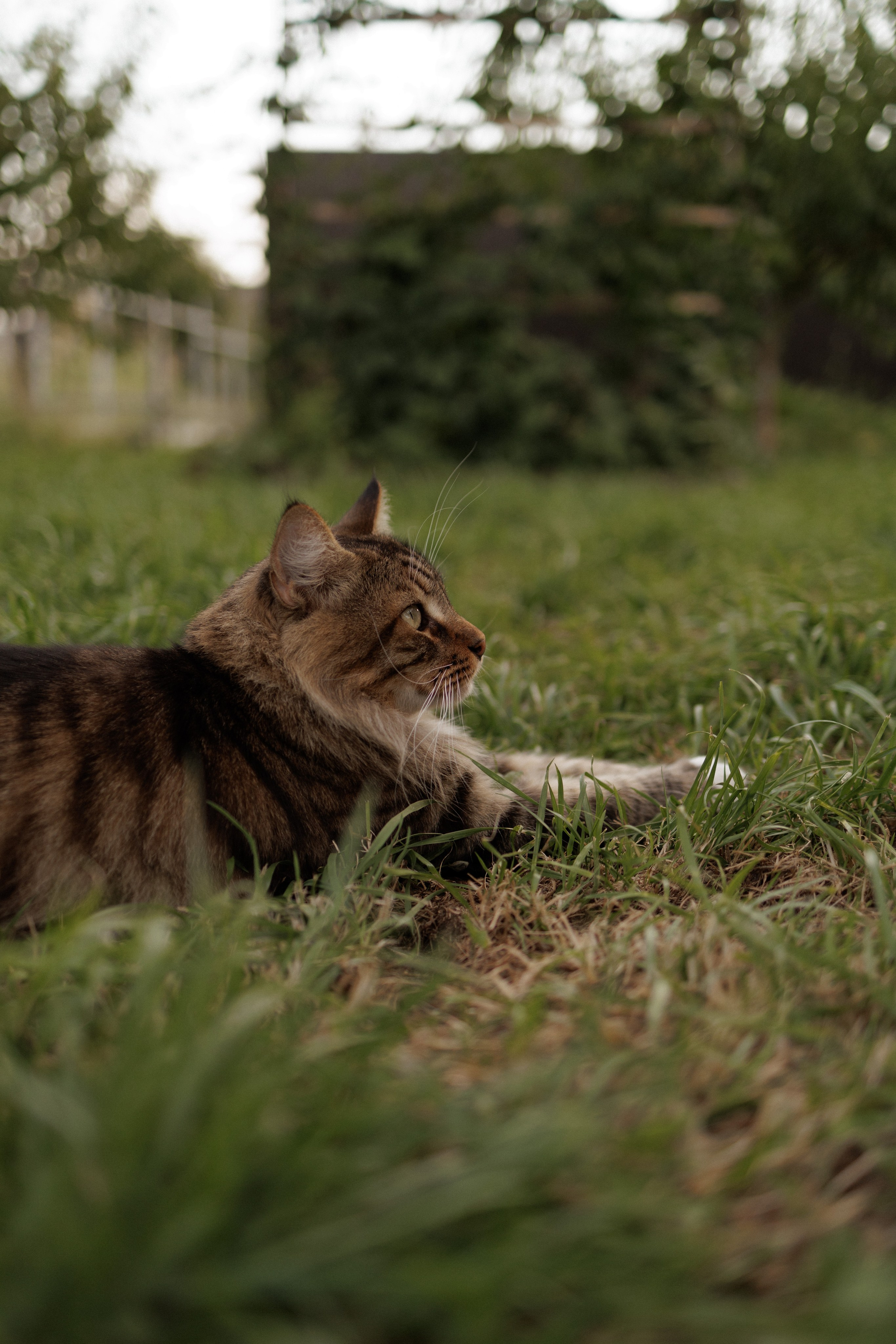 На закате одного прекрасного вечера. Фотограф Софья Гречка