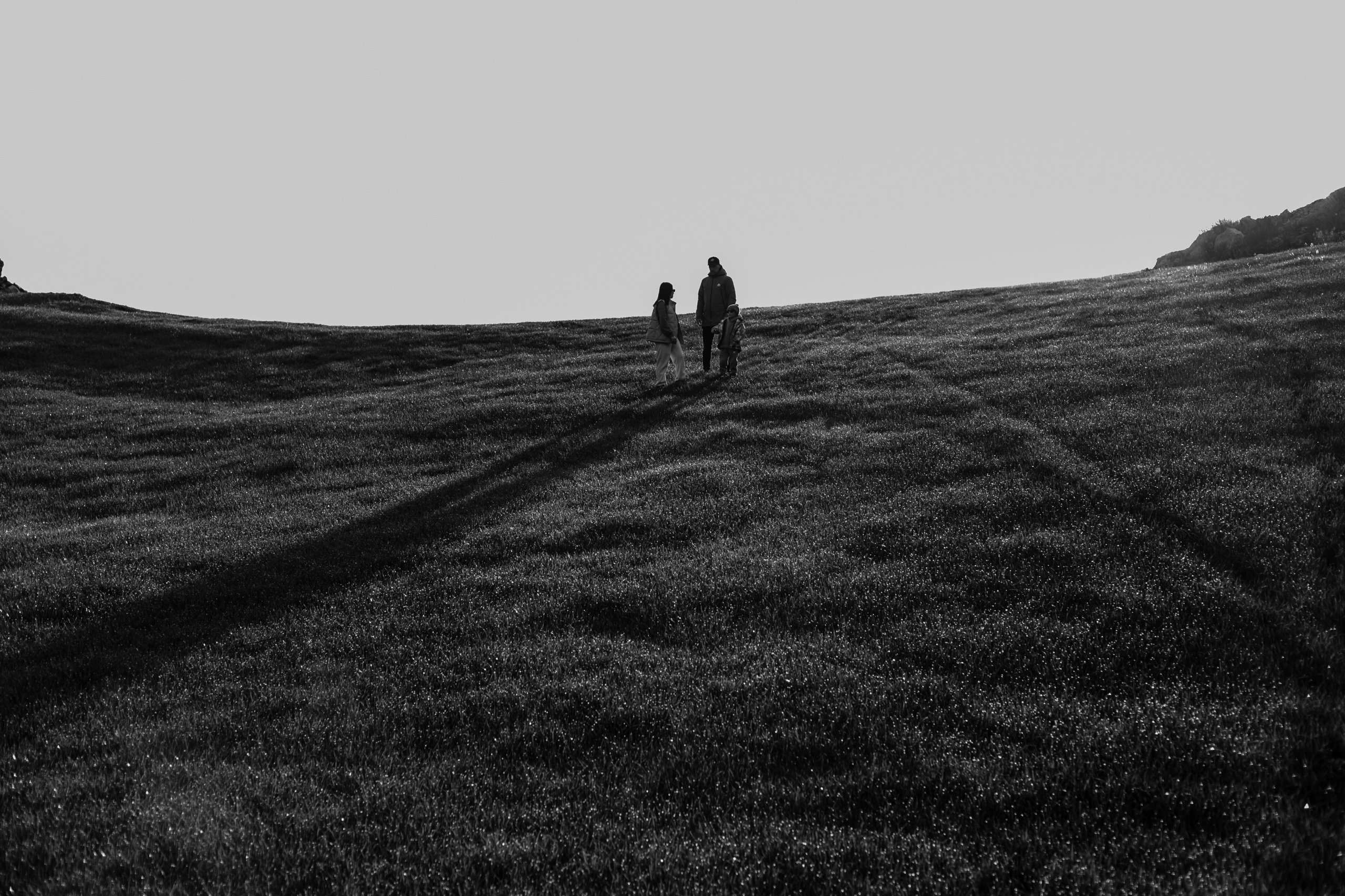 Свежесть утренней росы. Фотограф в Севастополе | Крым