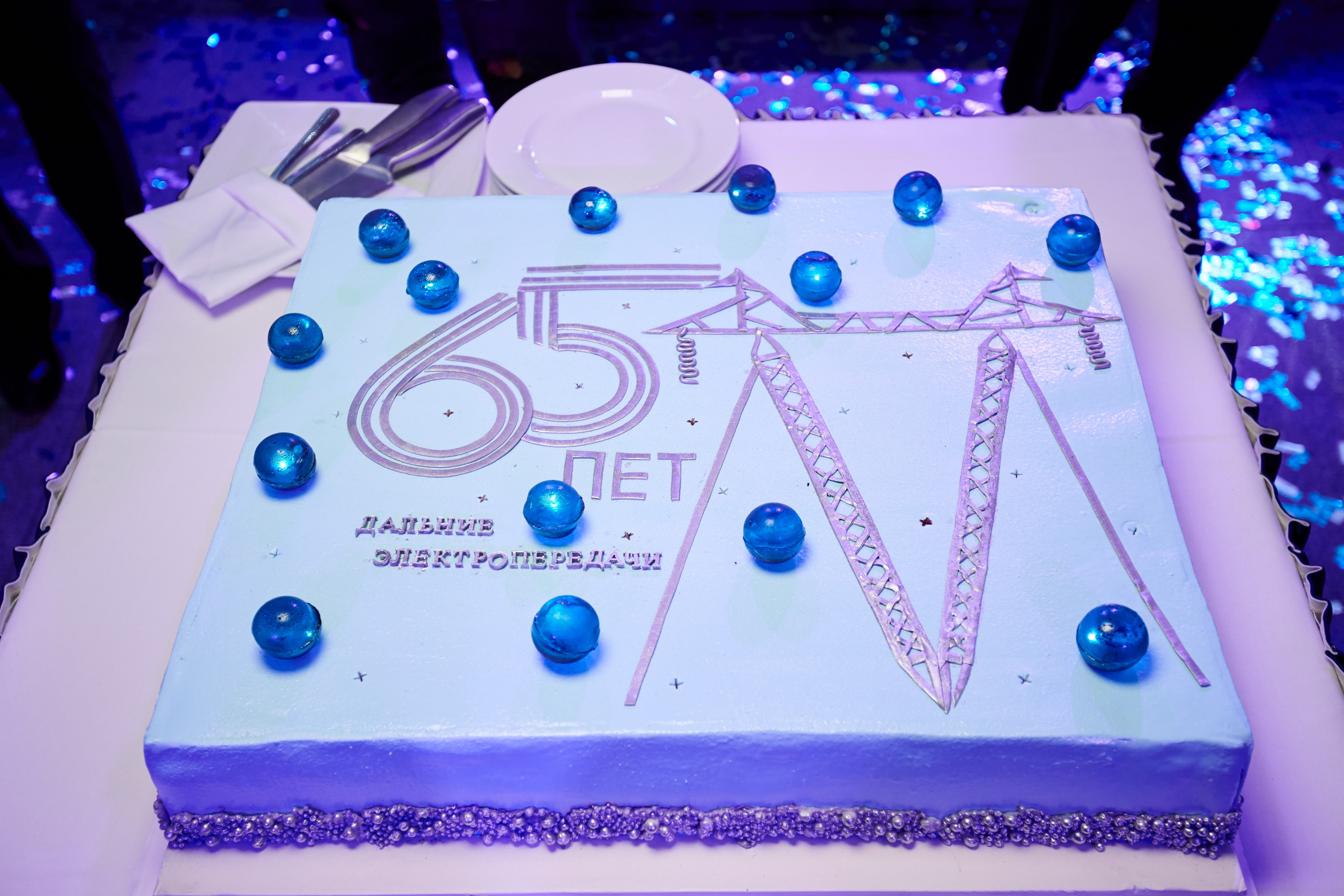 Россети. Репортажный Фотограф