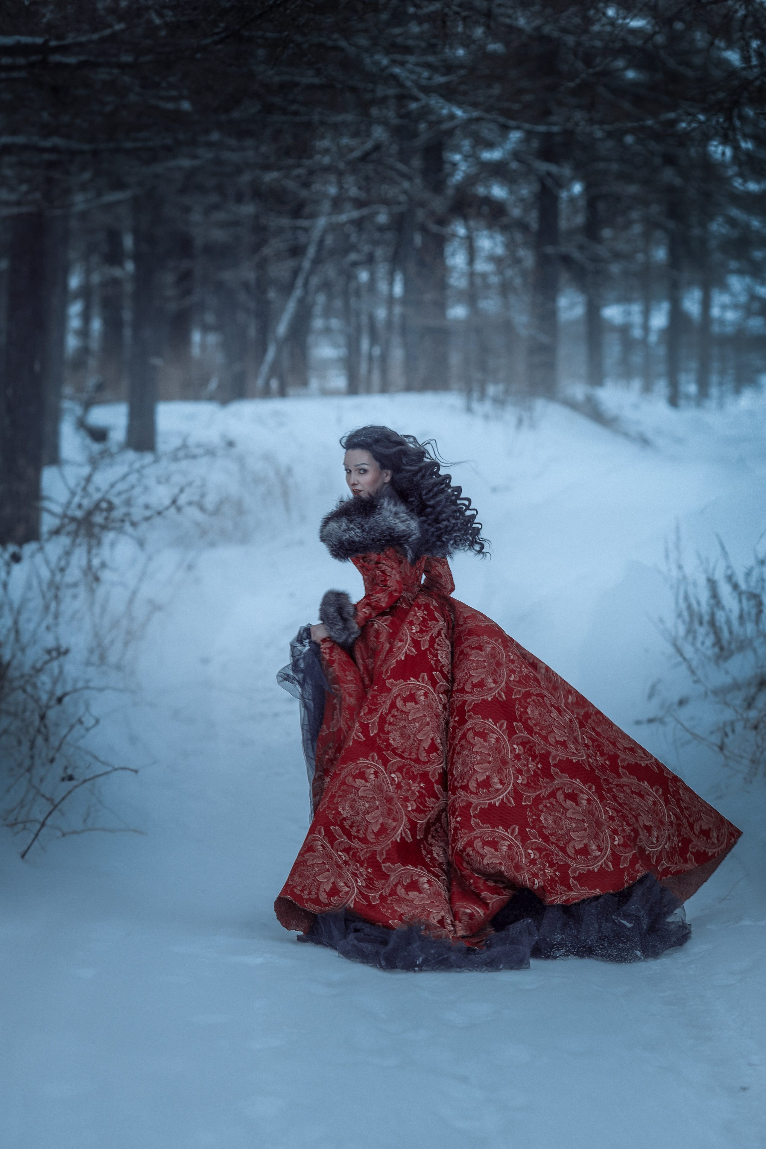 Клюква. Фотограф Алёна Яковлева