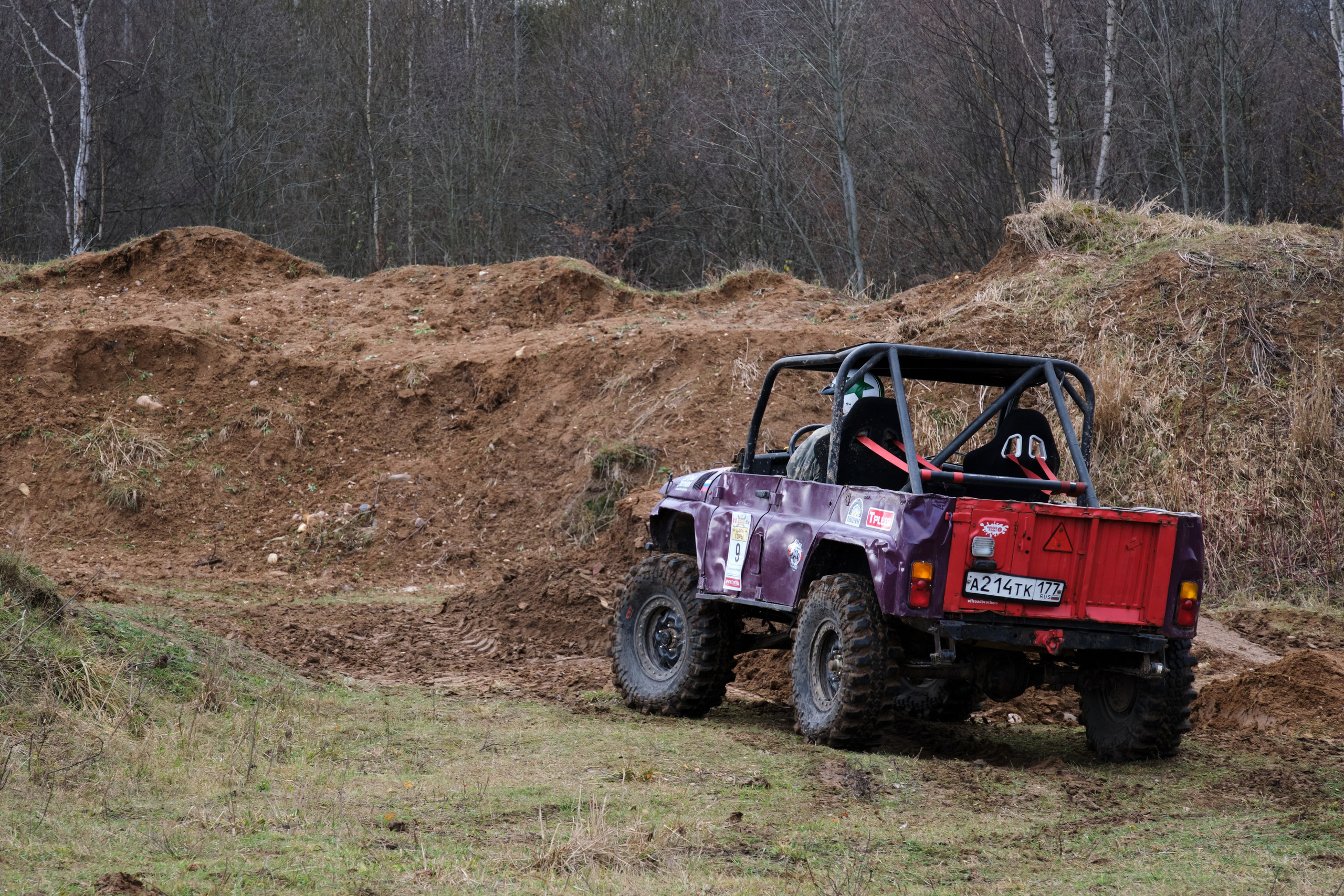 Лебёдушкино озеро 2024. Главная