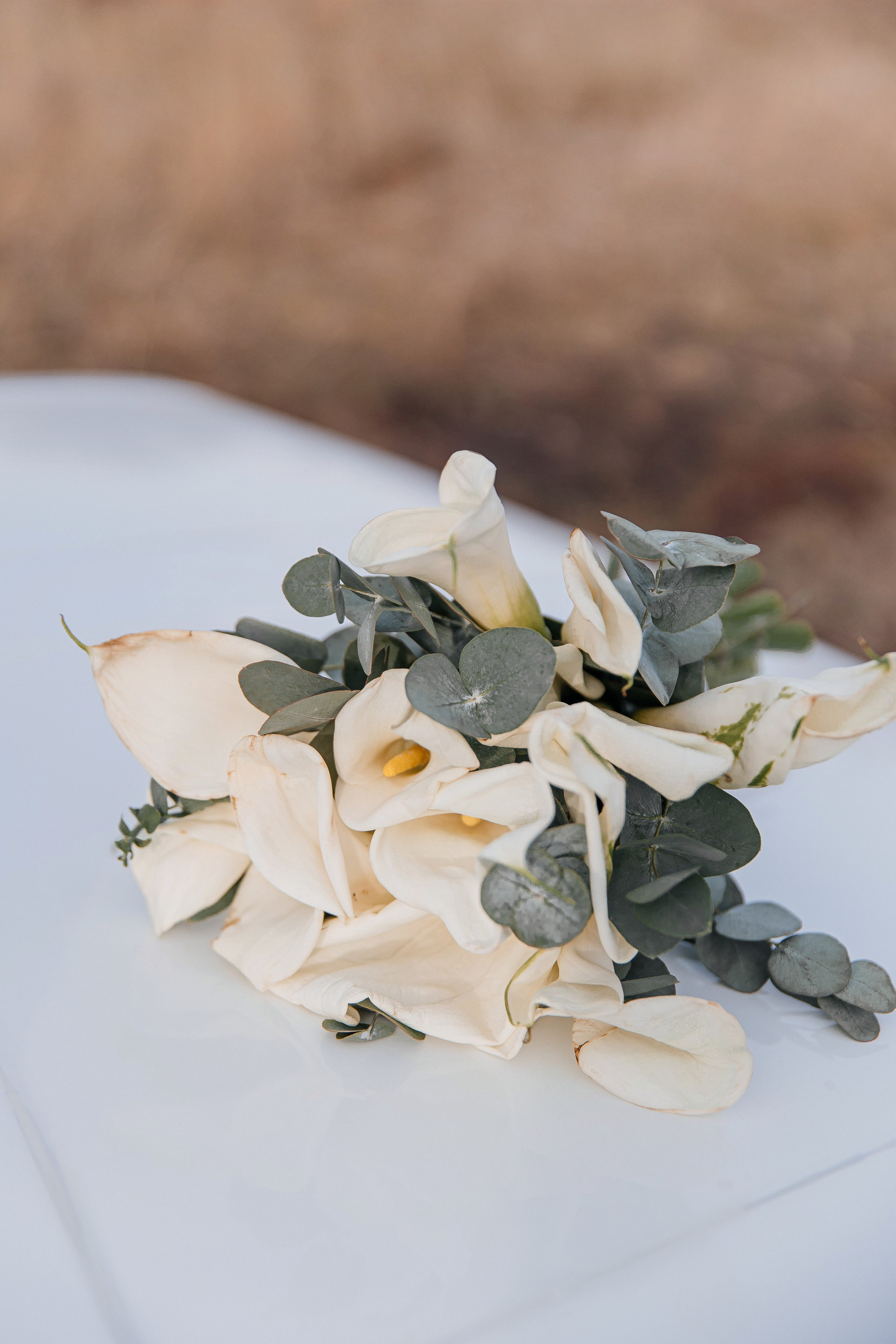 Дамир и Александра. Свадебный и семейный фотограф Самара и Самарская область Дарья Зарипова