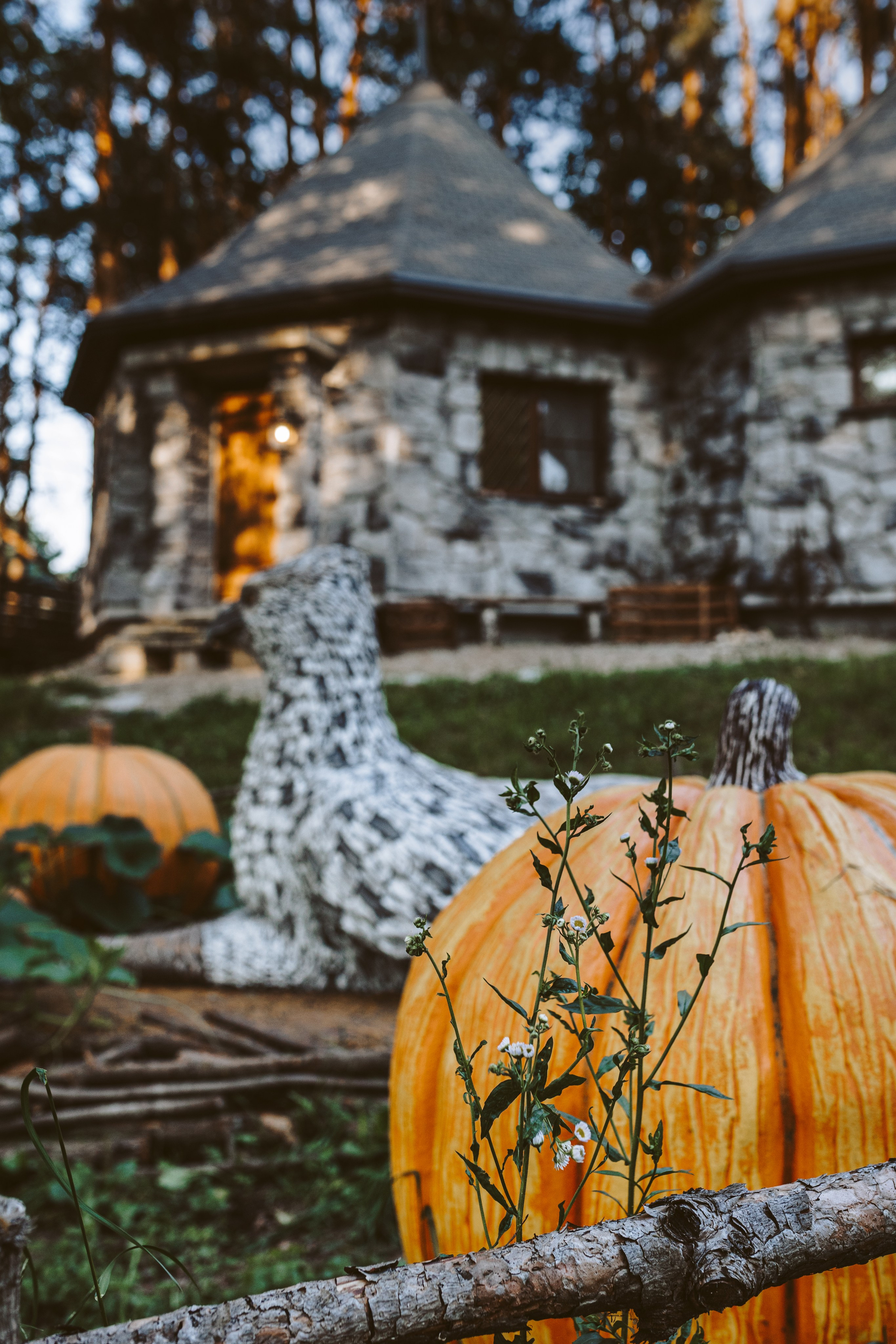 Хижина Хагрида. Свадебный фотограф Курзина Ольга | Москва