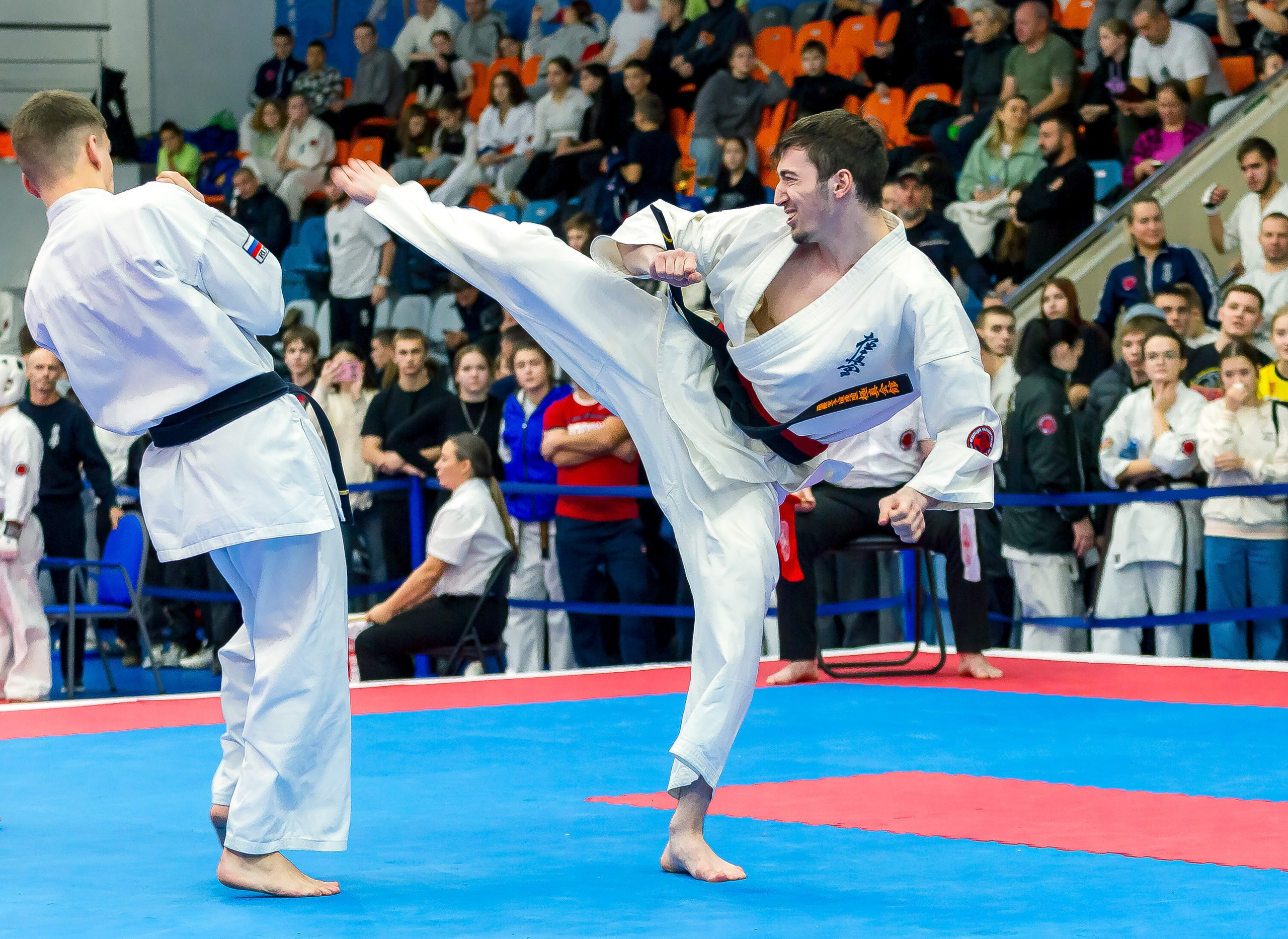 Соревнования по Киокушин памяти С. Увицкого. Репортажная съемка в Москве и области. Анималистика