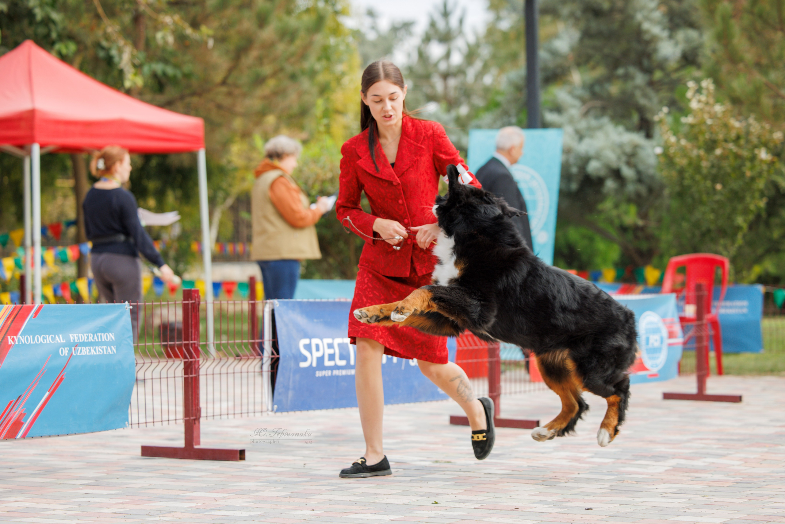 Ташкент 3хCACIB 3-5.10.2025. Фотограф-анималист Юлия Германика