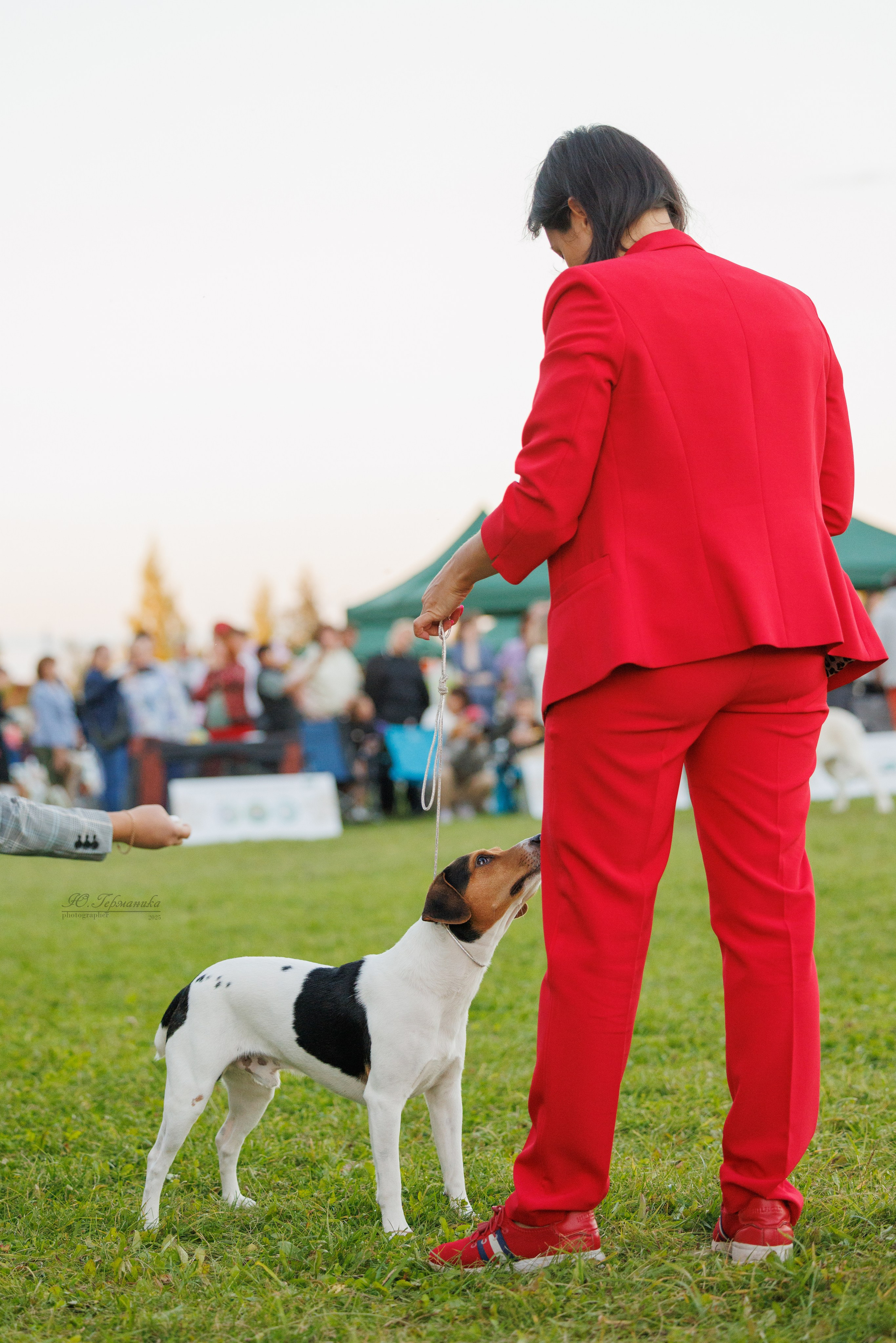 Переславль 5-7.08.2025. Фотограф-анималист Юлия Германика