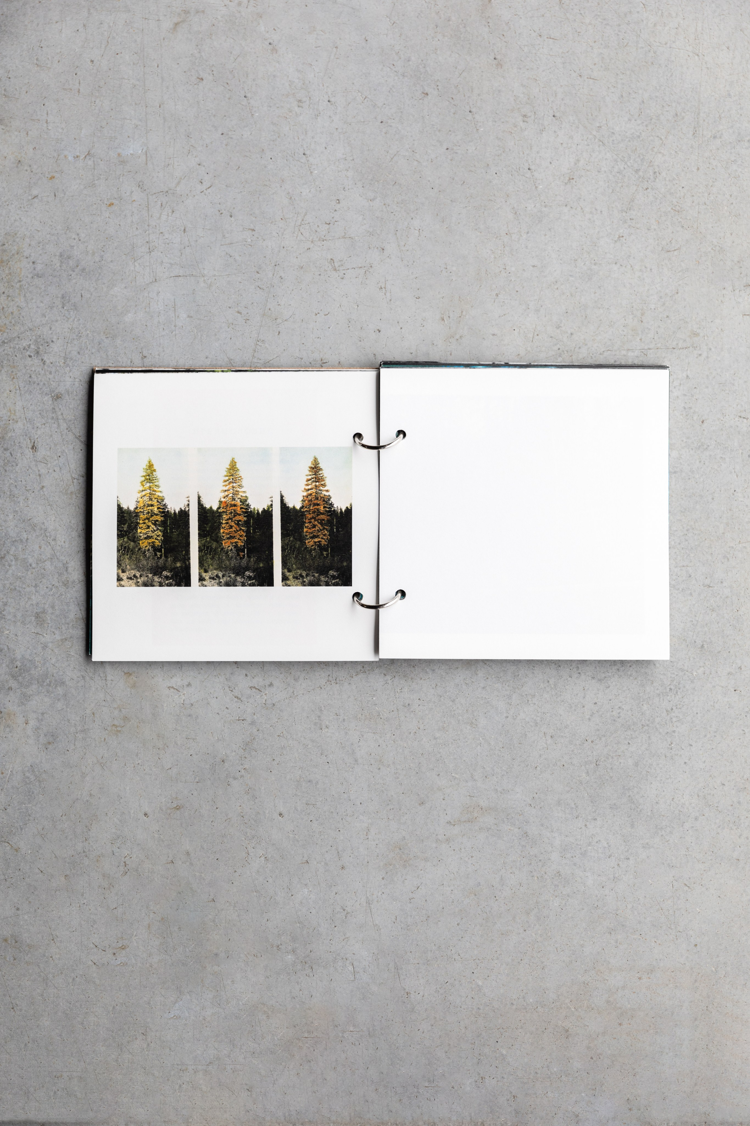 Beetlemania. Лера Круглова