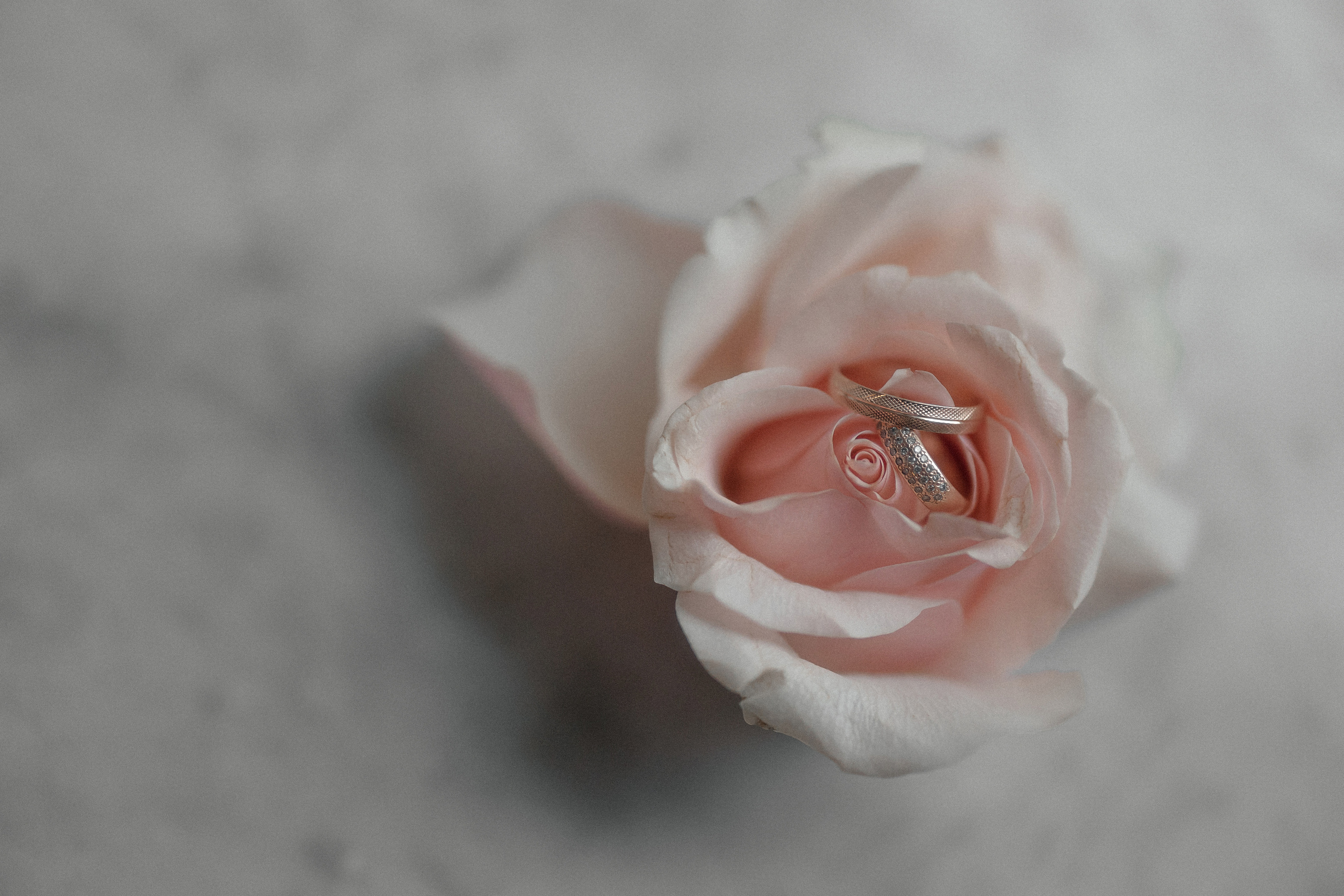 В день Венчания. Свадебный фотограф в Москве