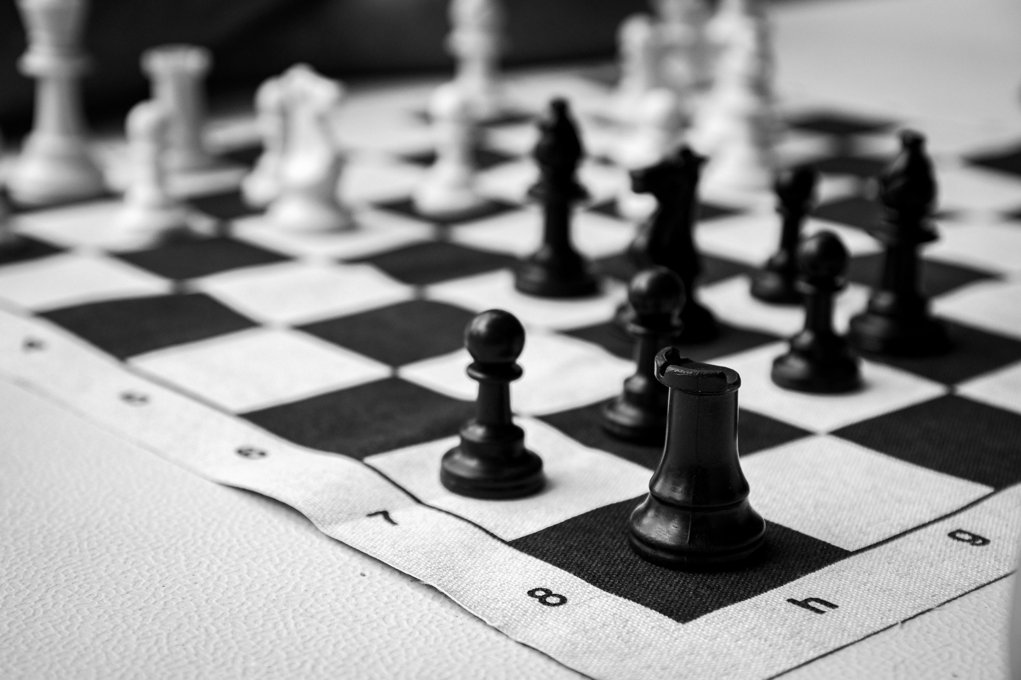 Соловьиное лето 2024. Спортивный фотограф Вадим Добедченков