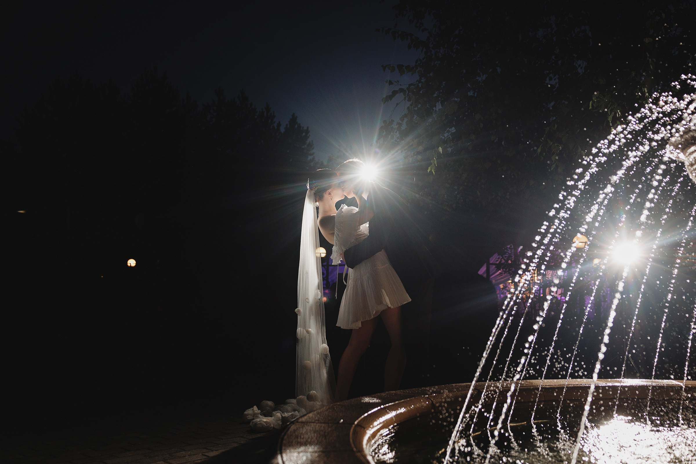 Артем Софья. Свадебный фотограф и видеограф Дмитрий Горяченков