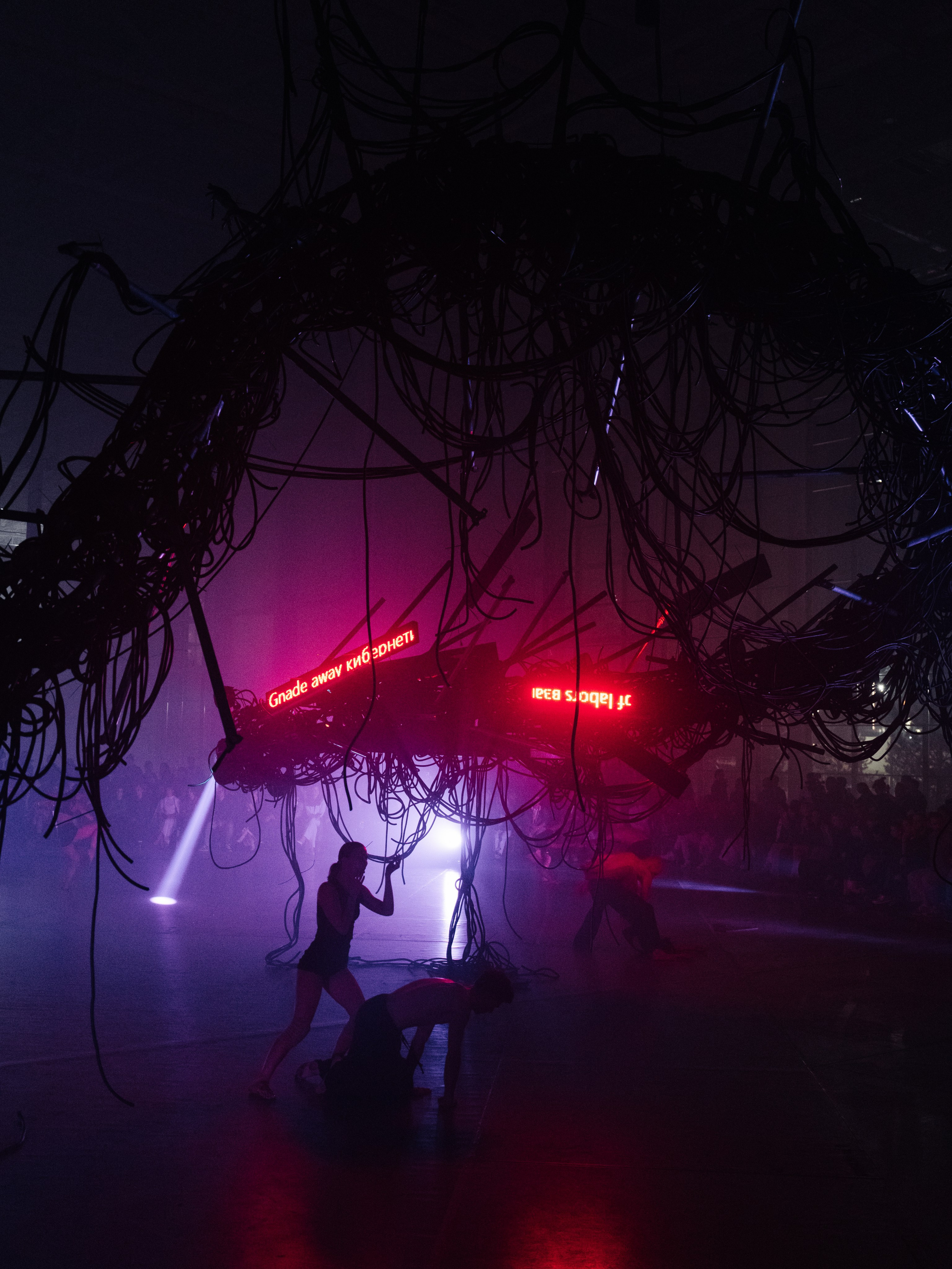 PERFORMA, The Hour of the Horse. @tomrus: Рустам Шагиморданов — фотограф