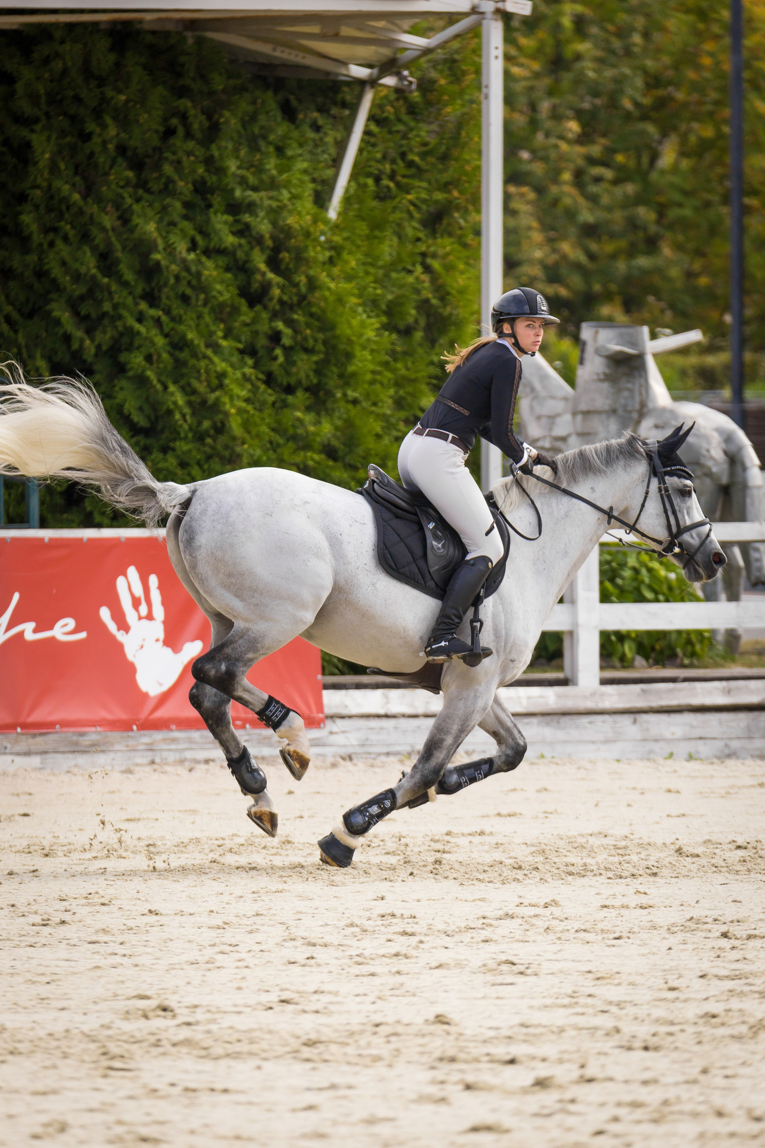 Конный спорт. Photomantis