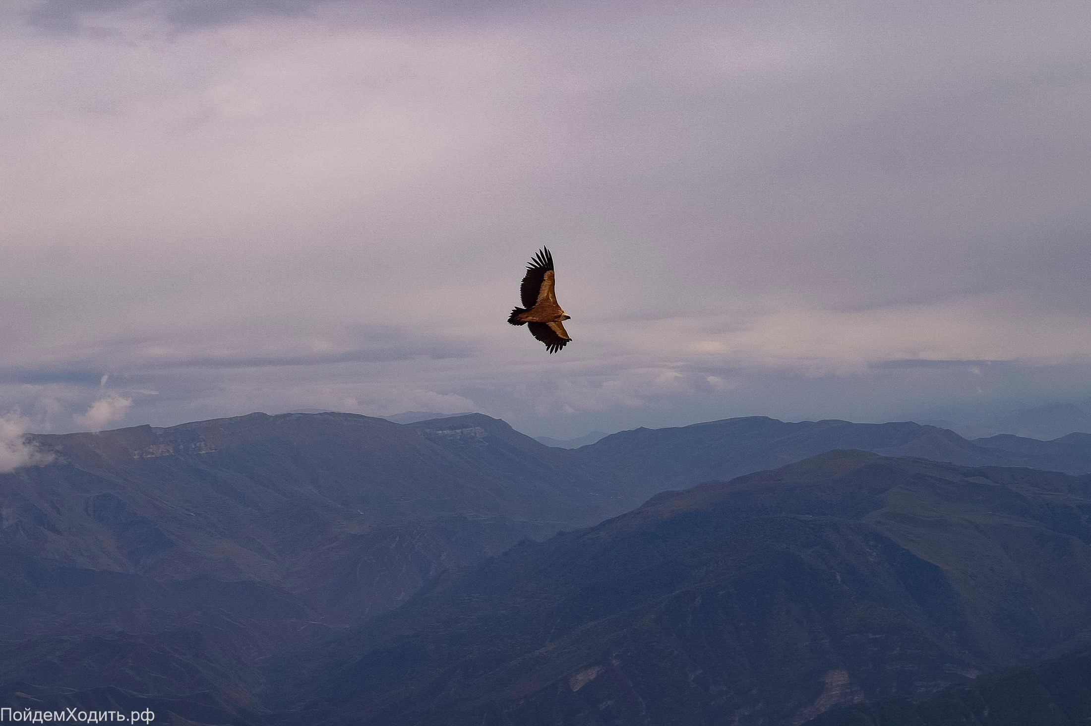 Nordic Walkers в Дагестане. Фото из походов и путешествий клуба скандинавской ходьбы Пойдем Ходить