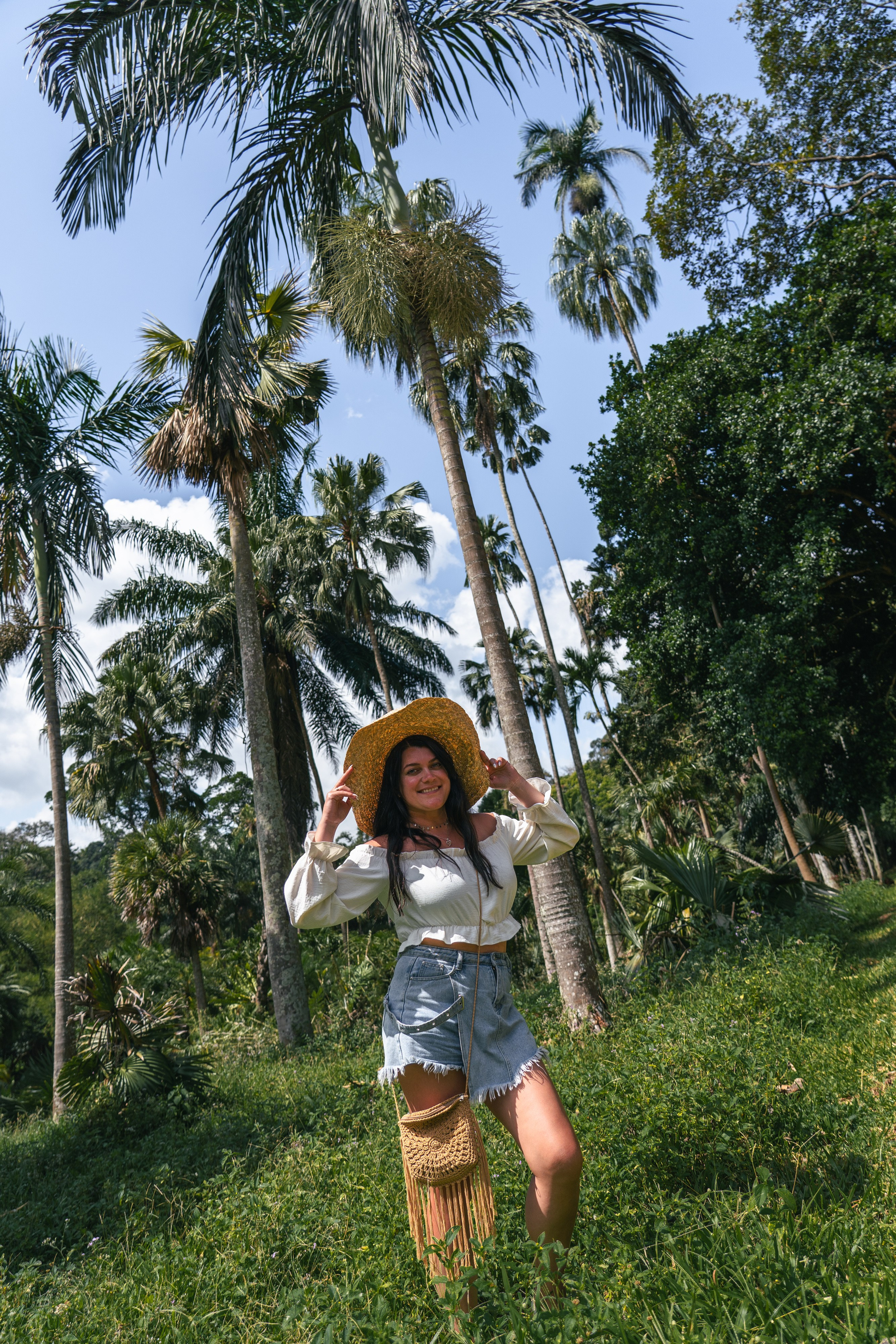 Bathing with elephants in Pinnawala, Botanical Garden
