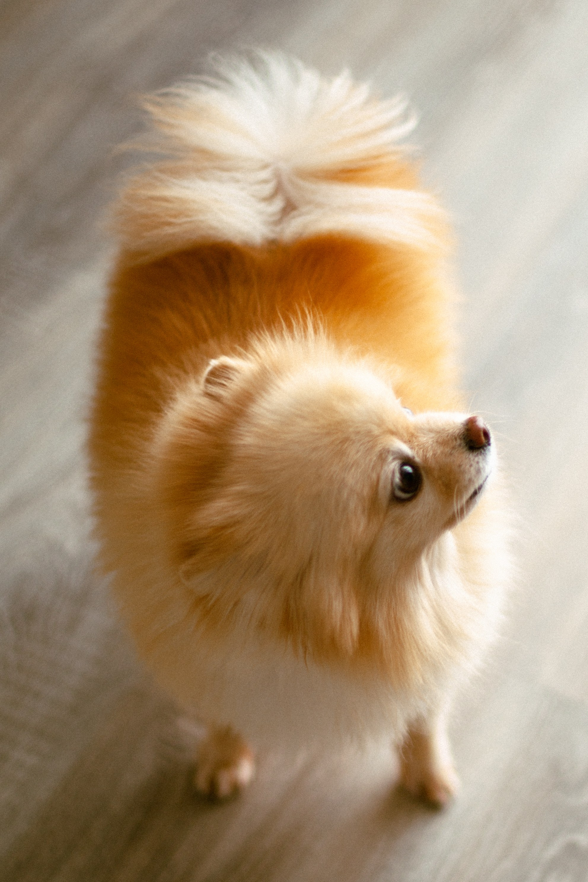 Оля. Свадебный фотограф в Нижнем Новгороде Анна Кузнецова