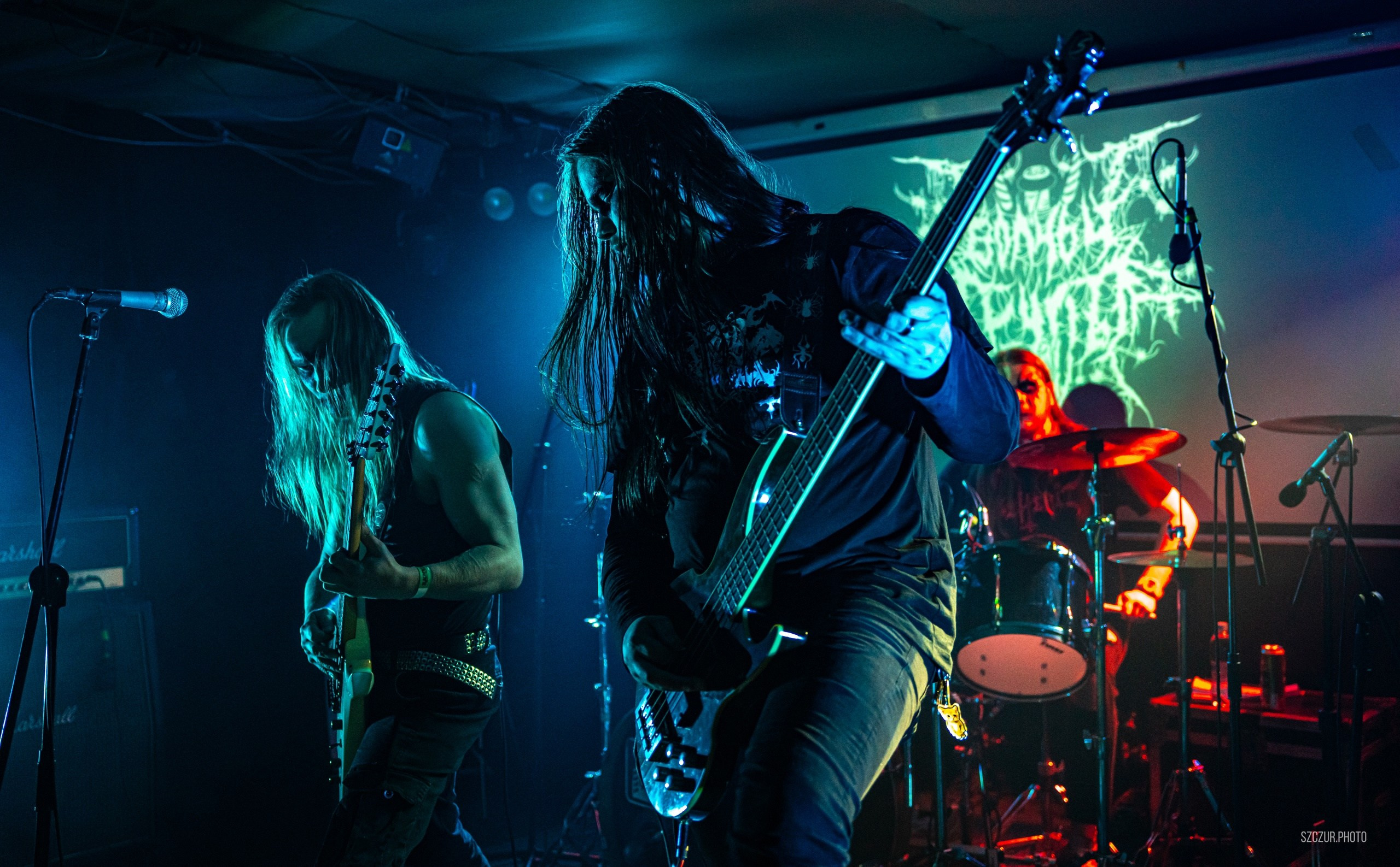 Волчьи Трупы в Городе 6.01.25. Szczur photo