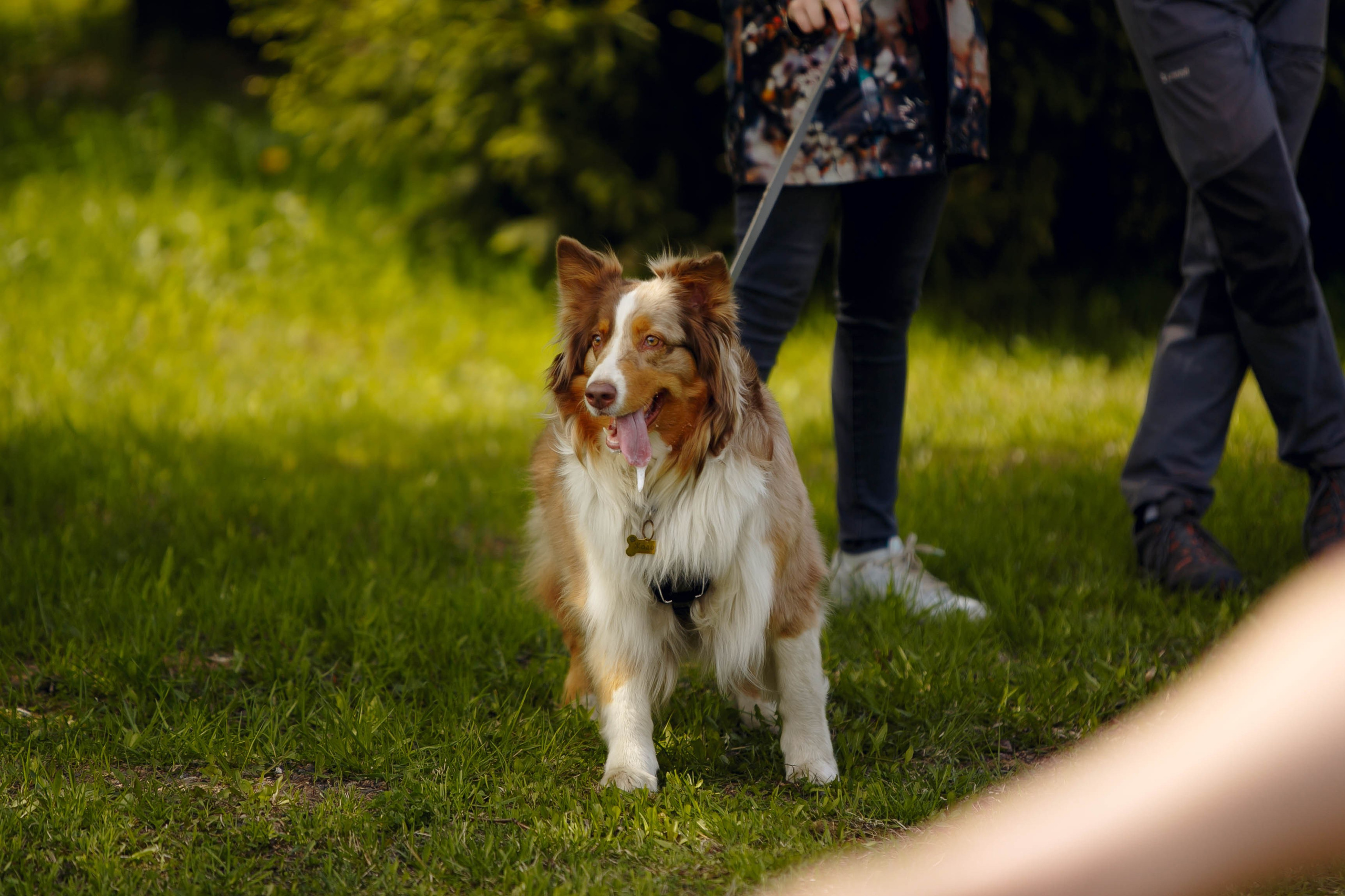 Фестиваль «Пастушьи забавы». Ваш репортажный фотограф Артемий Антонов
