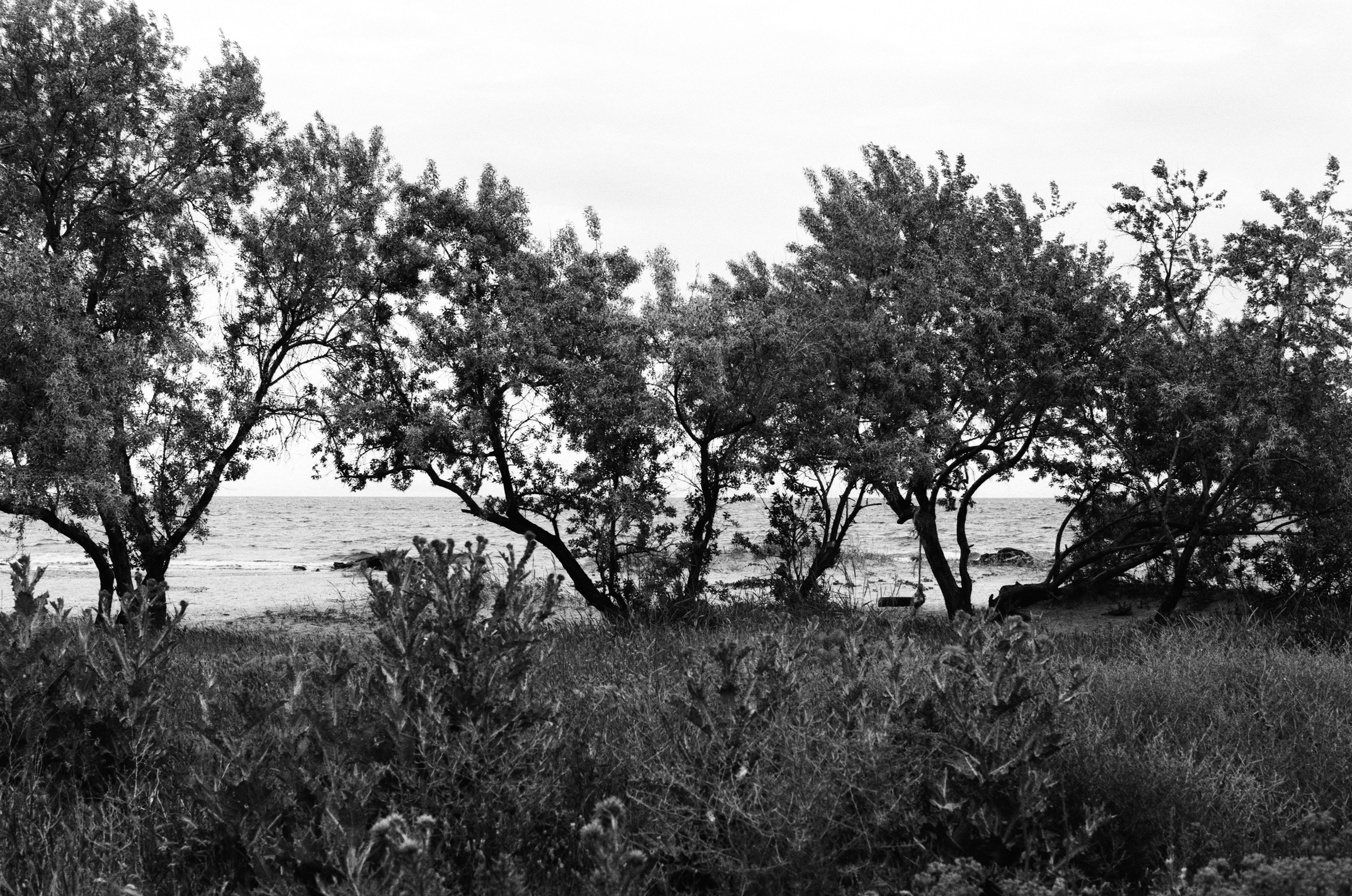 Sparks // ukraine, crimea. EVER EXPOSED