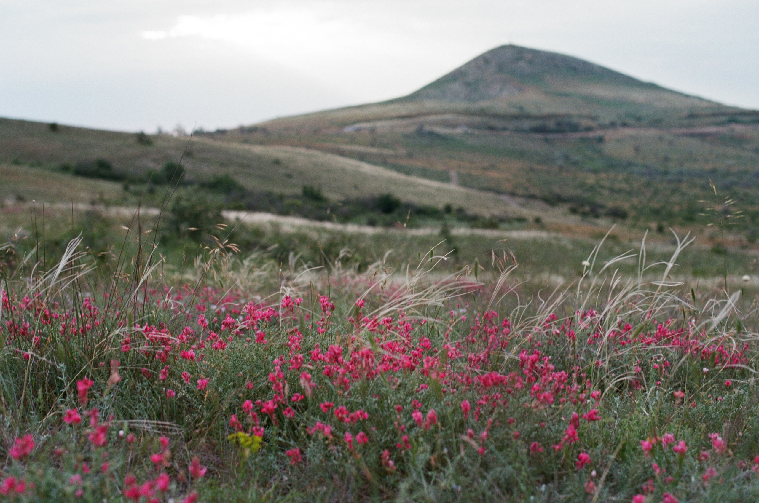 Champagne supernova // ukraine, crimea III. EVER EXPOSED