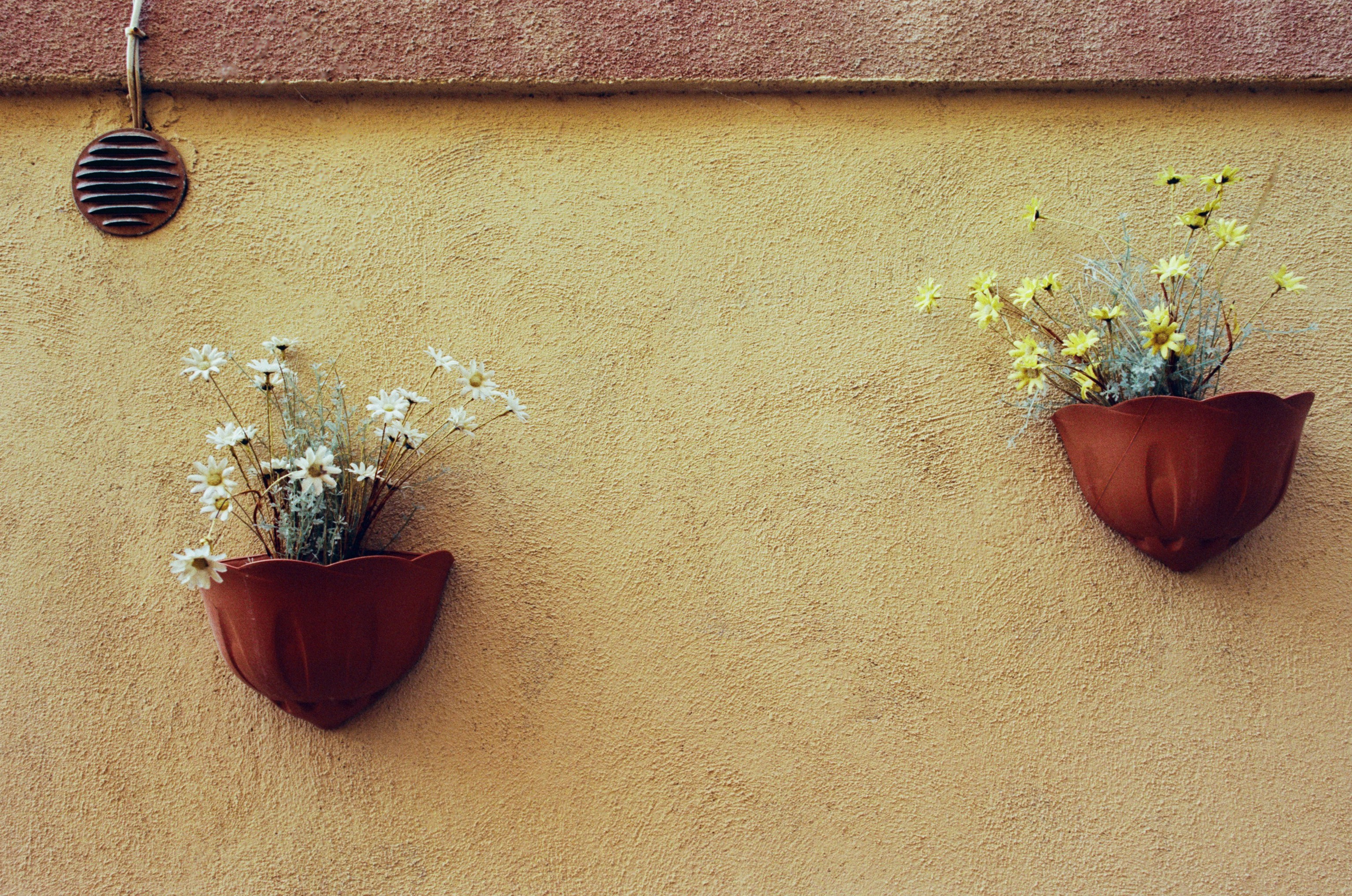 Moriro da re // sardinia, alghero III. EVER EXPOSED