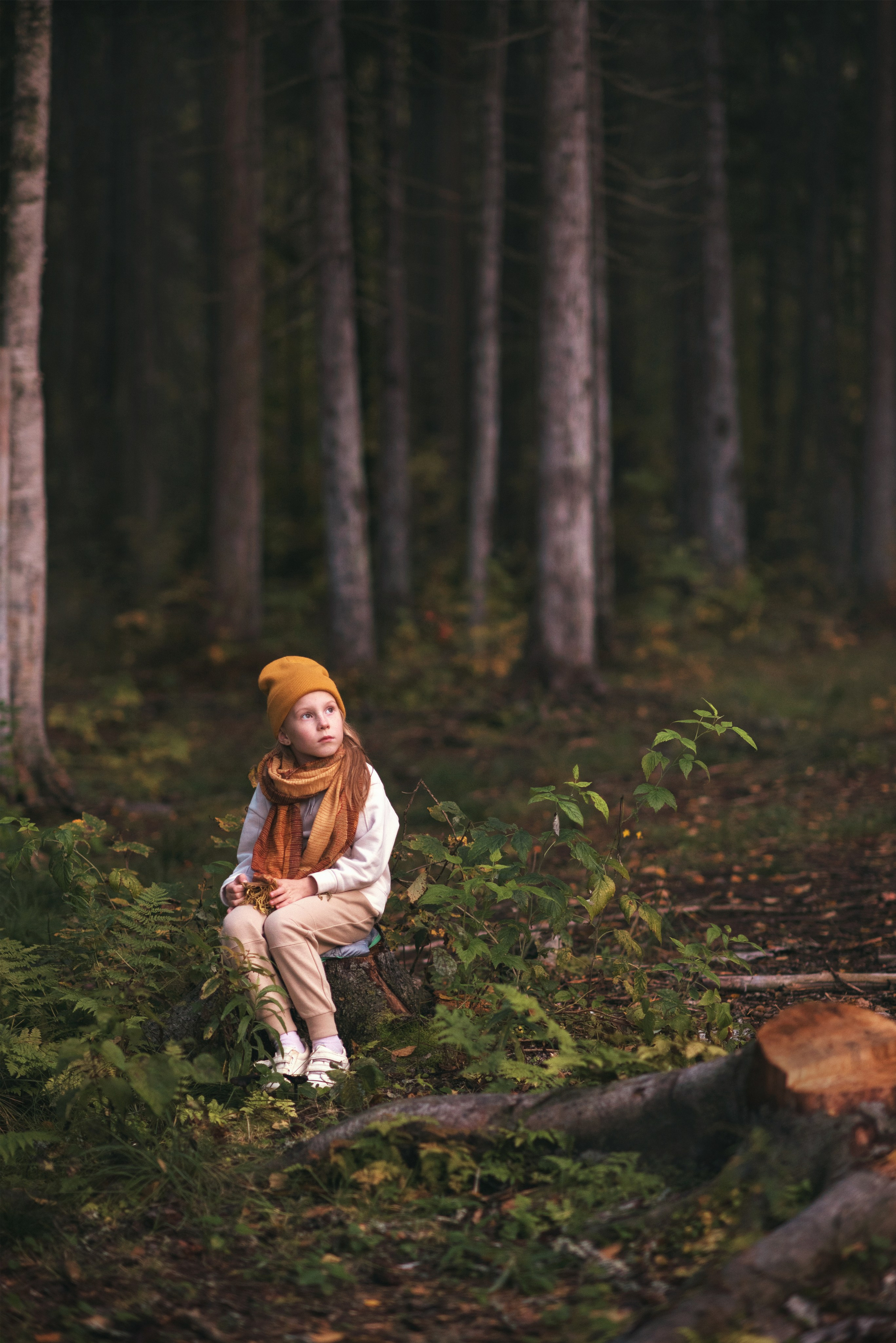 Детская осенняя фотосессия в Сыктывкаре детский фотограф Сыктывкар. Фотограф новорождённых детский фотограф Сыктывкар Наталья Линдт