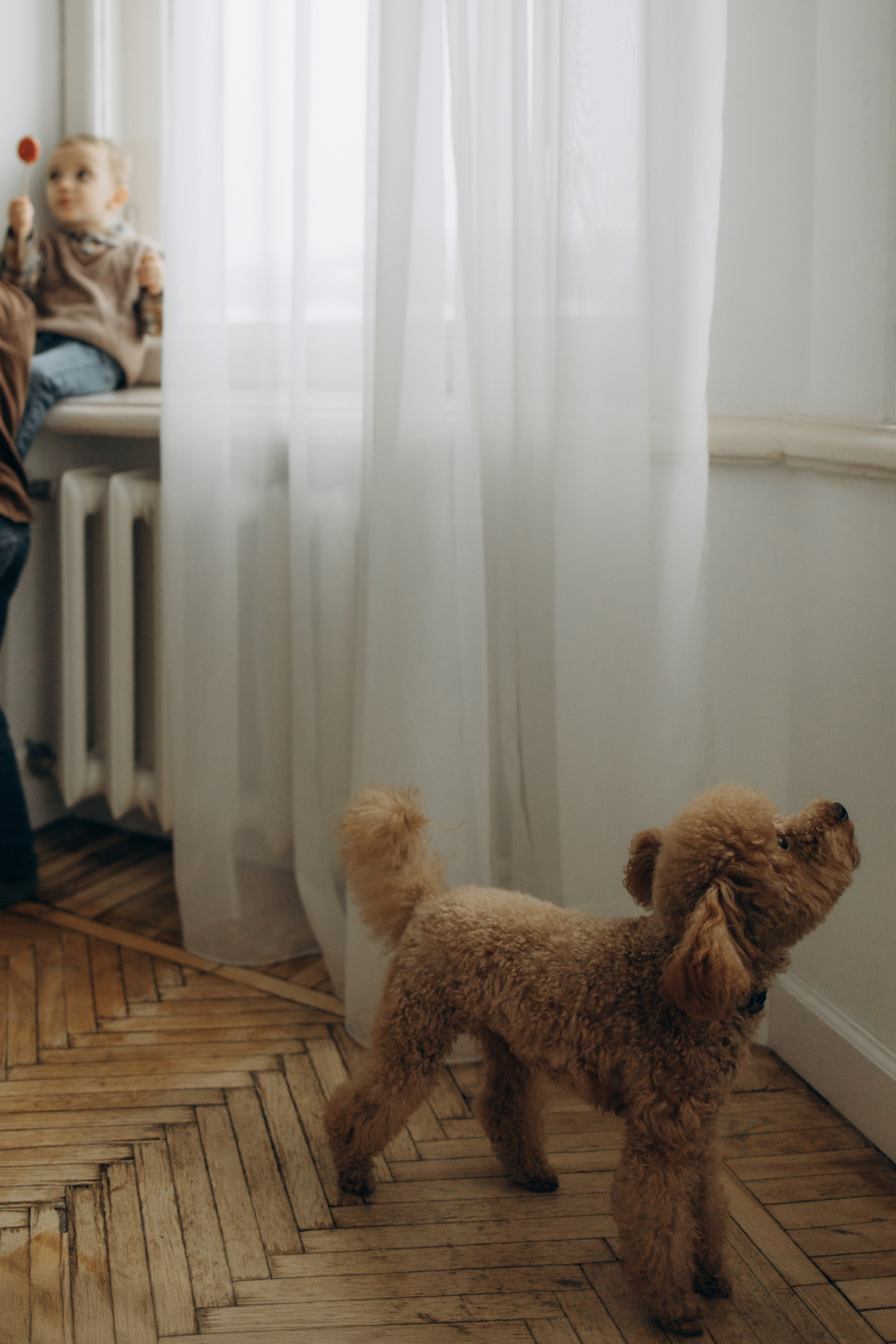 Домашняя история большой семьи. Семейный фотограф Москва Юлиана Фетисова