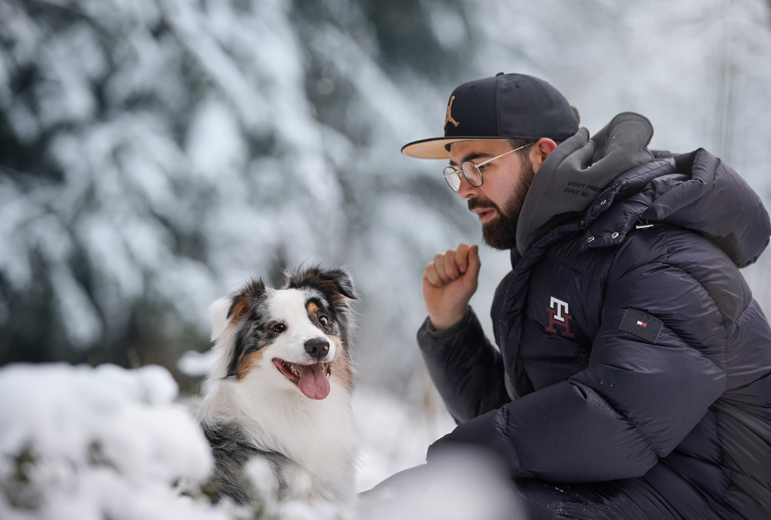 Антон Аиша и Римус. Фотограф-анималист в Санкт-Петербурге Яна Мартынова