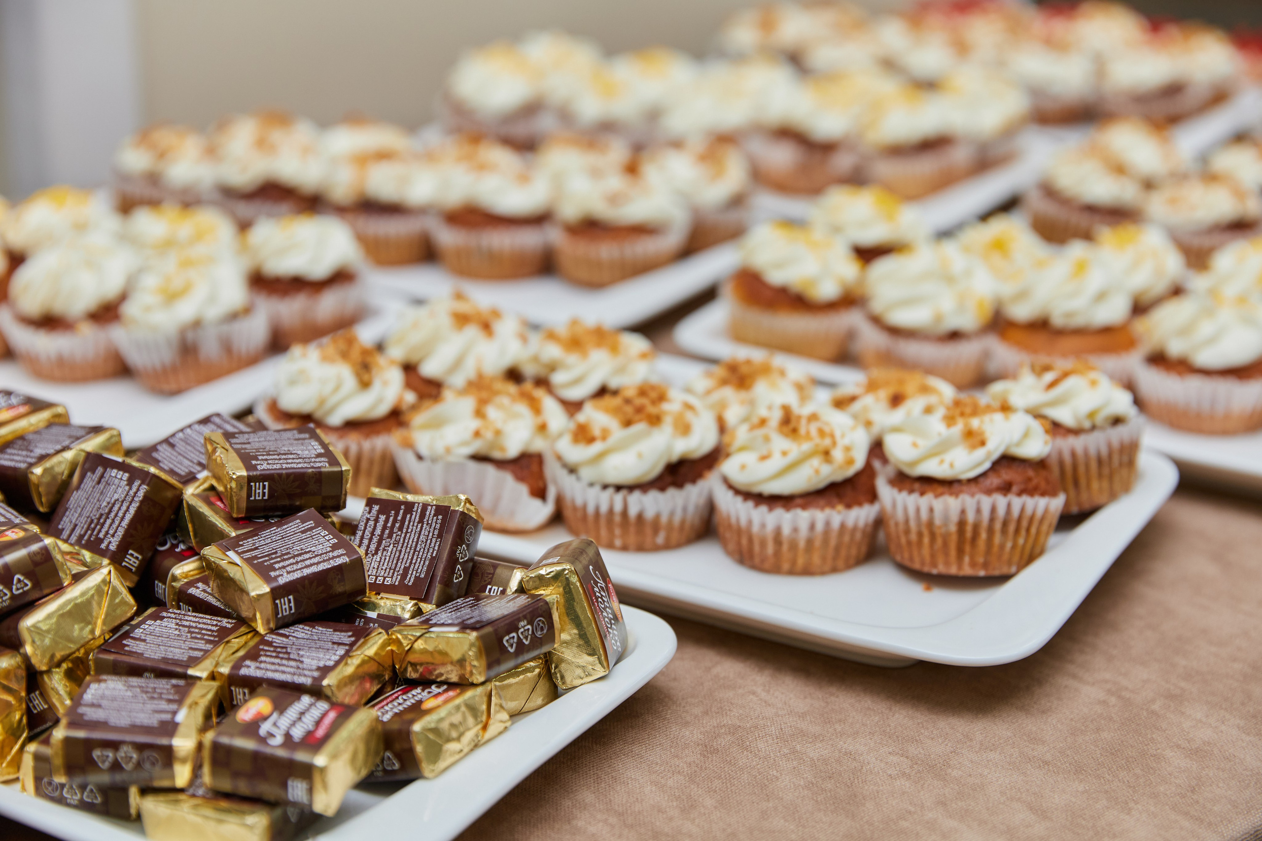 Врачебная конференция. Контент-фотограф в Абакане Наталья Нагибина