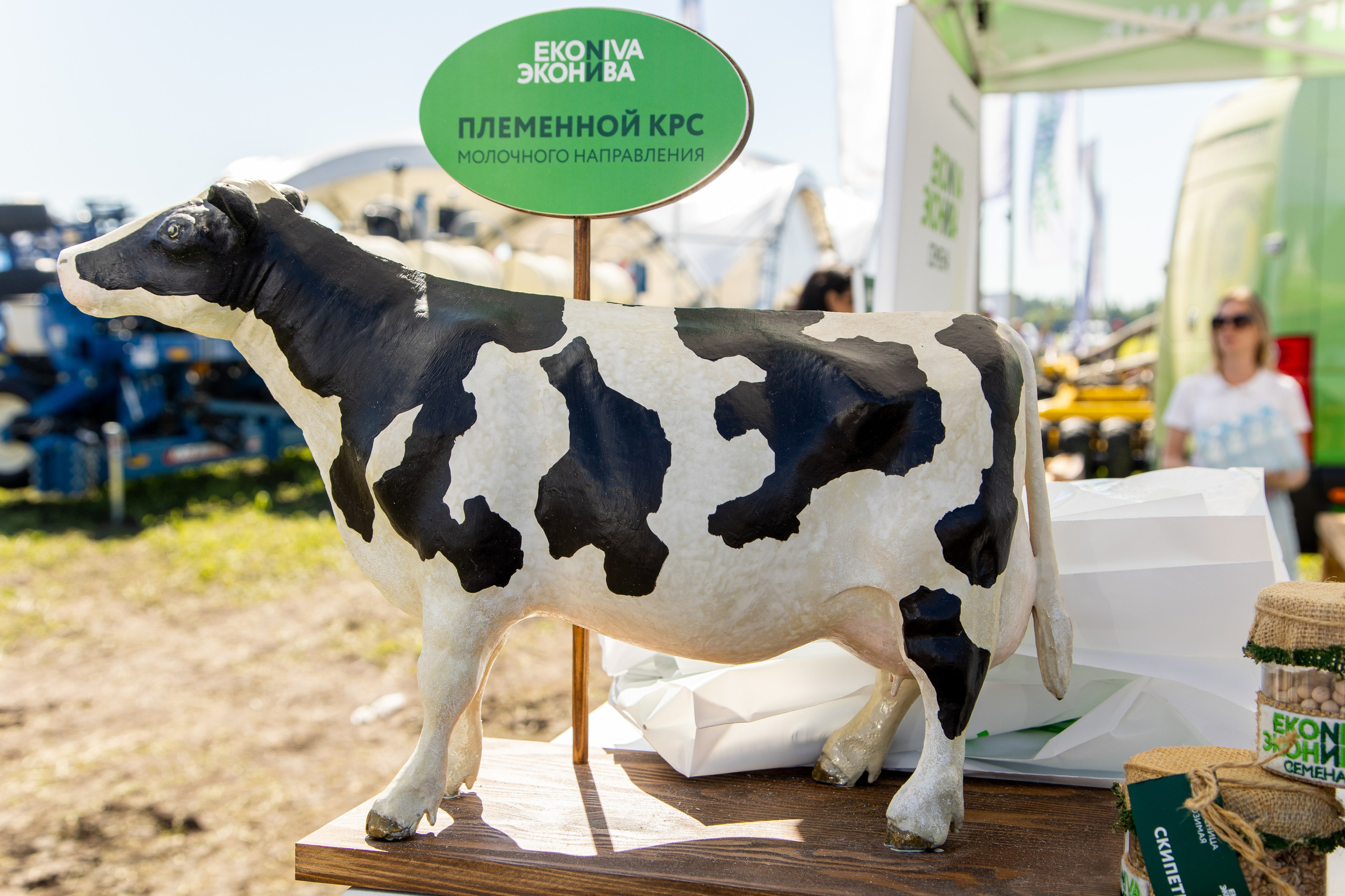 День Поля 2022. Владислав Волков | Фотография и видеосъемка в Воронеже